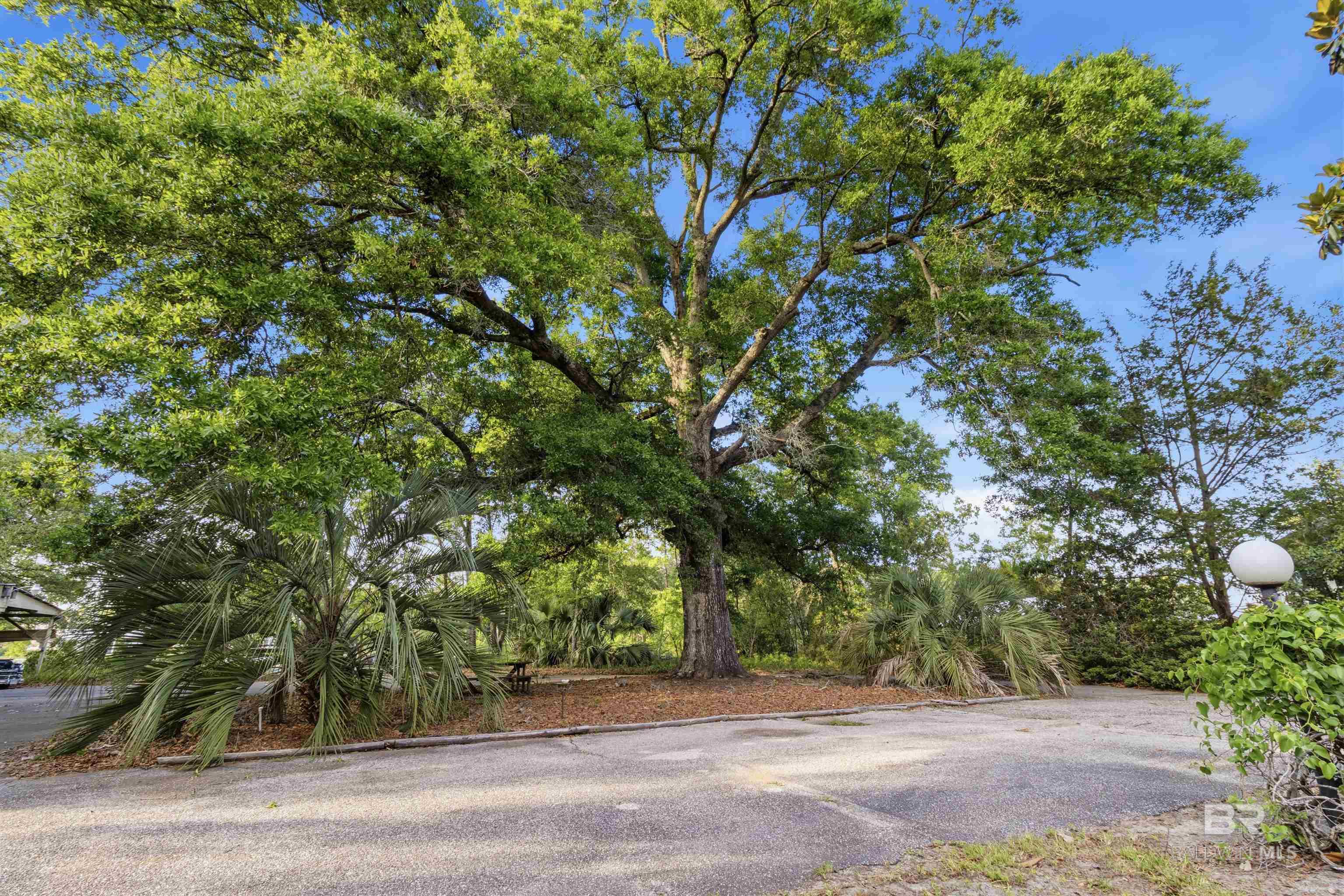 https://zimg.paragon.ice.com/ParagonImages/Property/PG/BCAR/396181/25/0/0/d026a36ee942c2ef80faa0ae8ac3115e/7/780d2de60f97613d5a5c6b6006a34173/396181-75da36ee-ea12-44fe-b2de-4fbbc21a5a7a.JPG