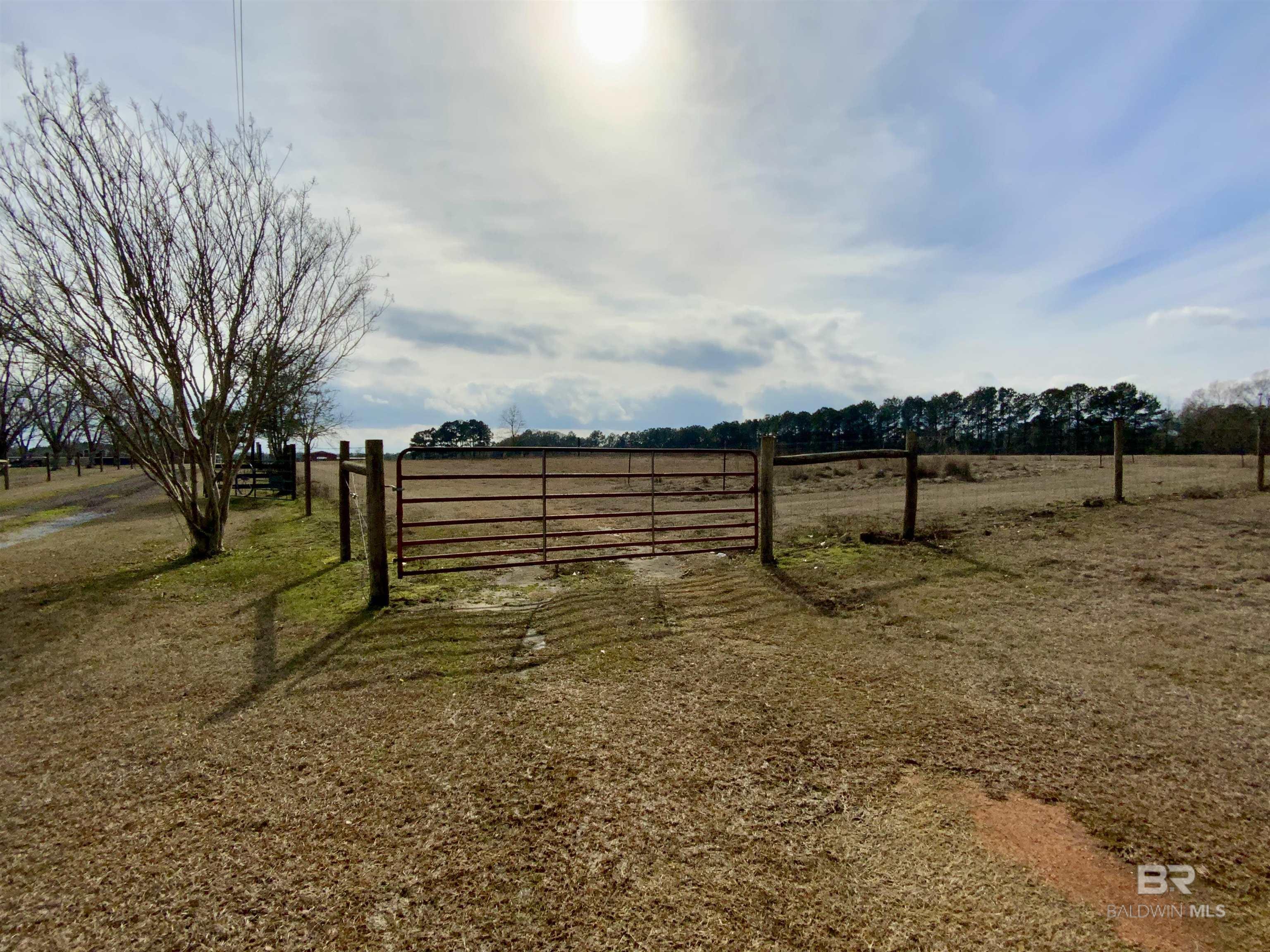 https://zimg.paragon.ice.com/ParagonImages/Property/PG/BCAR/396306/1/0/0/e63530e3f4bedc18a2418aacfbc98e03/7/08bfd89f619fc63717e96e27263b0d80/396306-7570d7ad-3c47-46e6-a813-211bf0b95bce.JPG