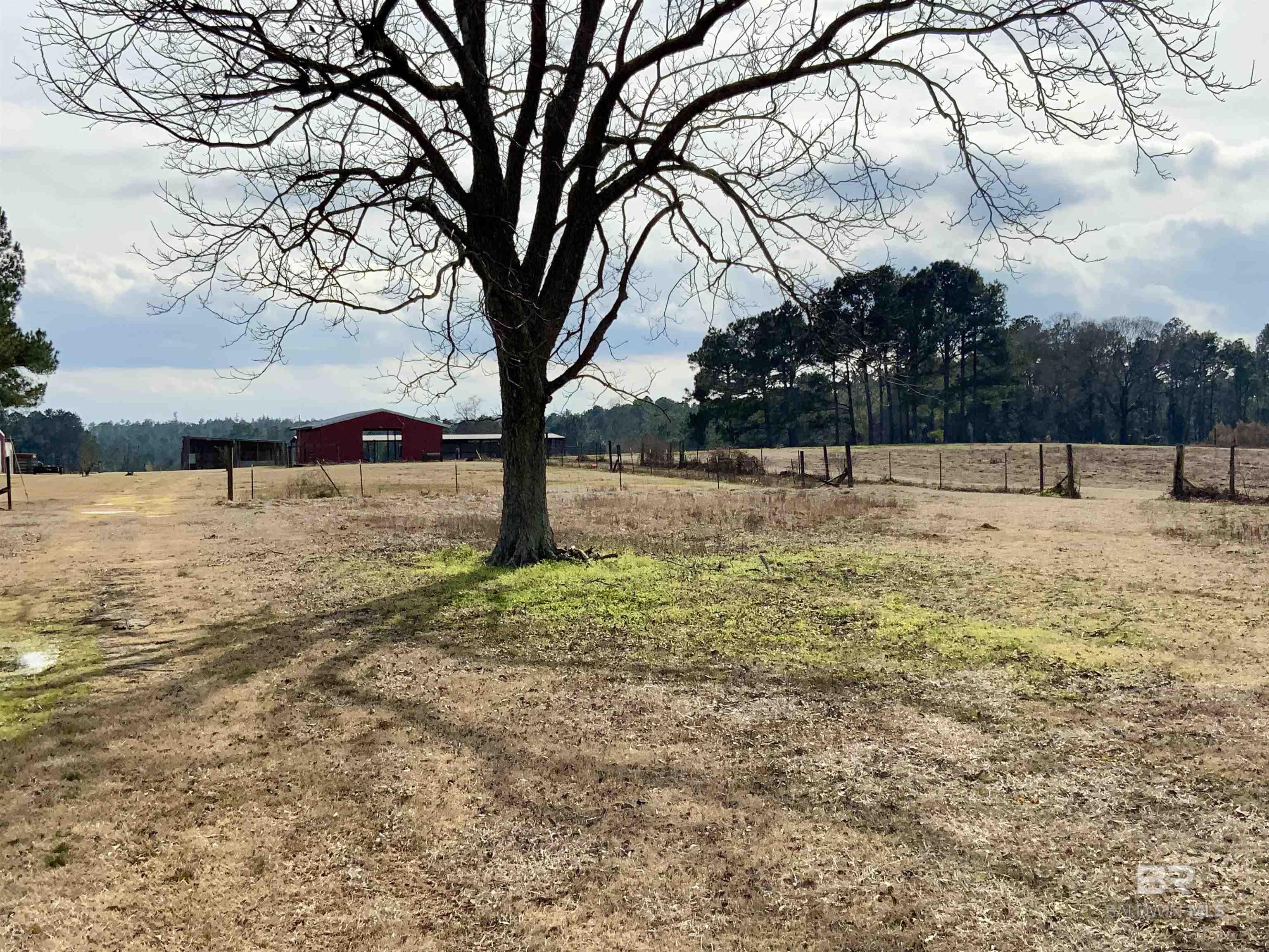 https://zimg.paragon.ice.com/ParagonImages/Property/PG/BCAR/396306/5/0/0/2b9a6756e0a436a53274d893137b7cab/7/08bfd89f619fc63717e96e27263b0d80/396306-96b6a266-153f-462d-8e61-75535ed39c53.JPG