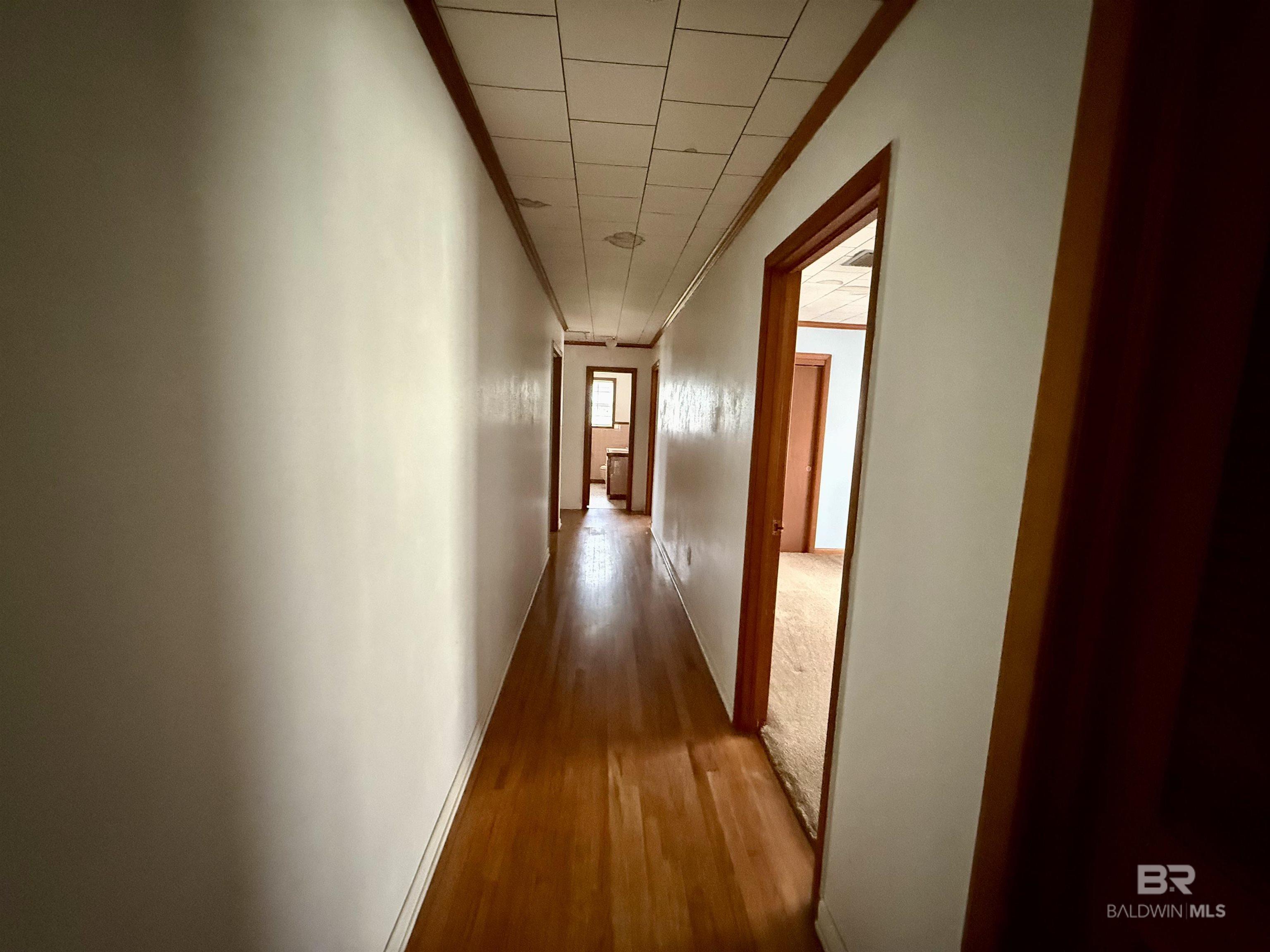 396377 | Photo 14