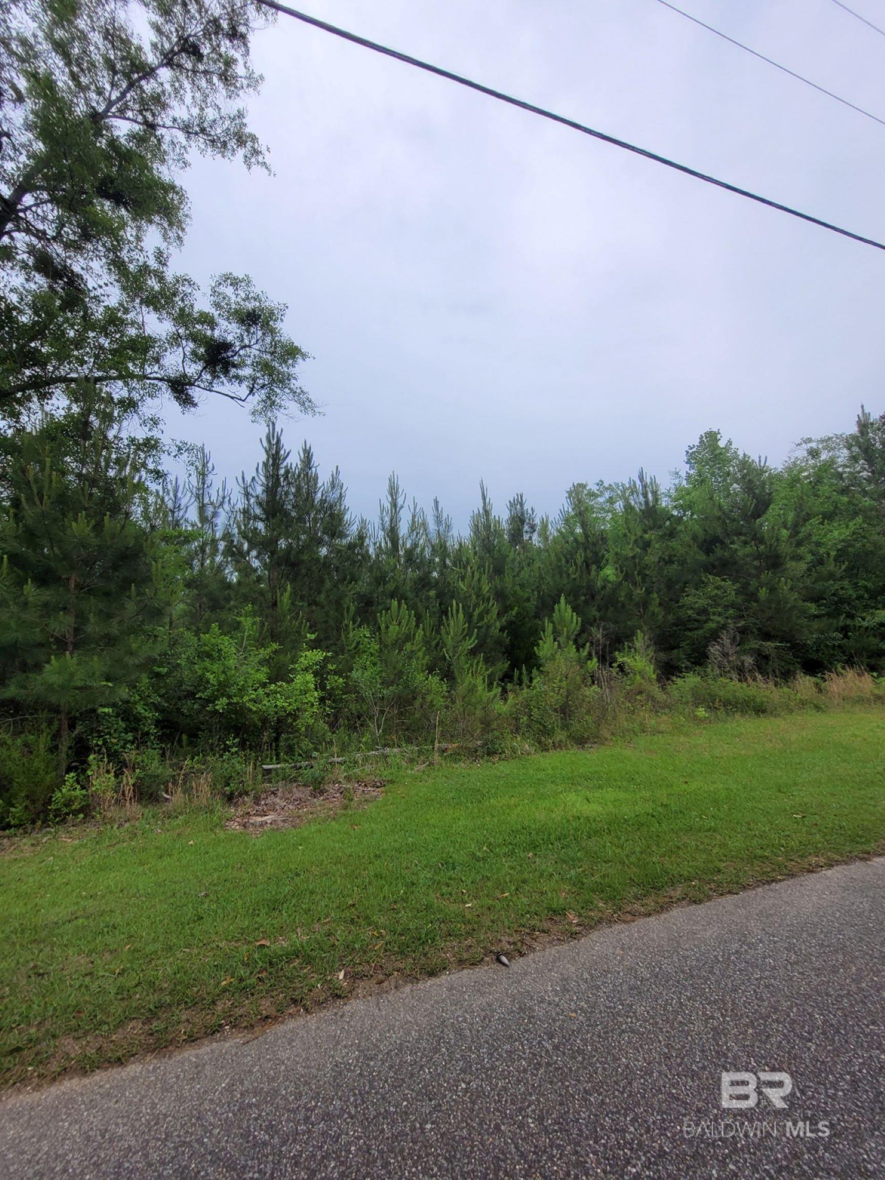 396388 | Photo 2
