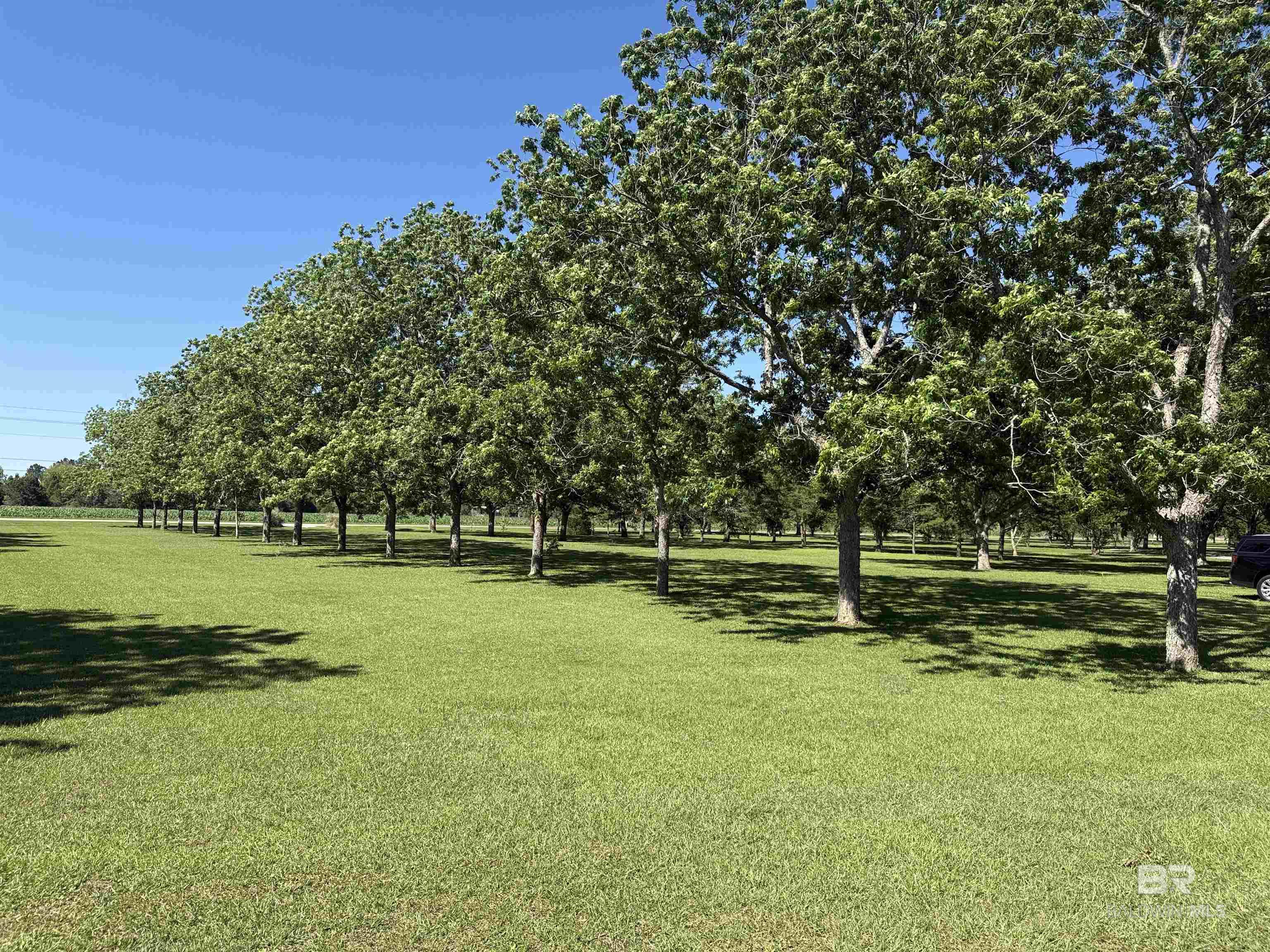 https://zimg.paragon.ice.com/ParagonImages/Property/PG/BCAR/396476/22/0/0/b46602206d98298560cbf7a802264f78/7/a2b03b3e3b13189af901f9a6847beb67/396476-6a3b5740-17a8-4e41-a627-cf7b0e2a0df2.JPG