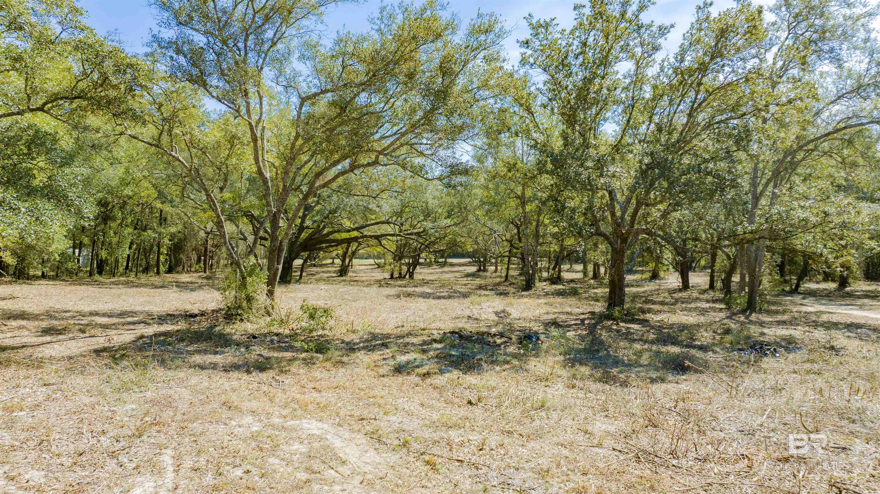 396557 | Photo 14
