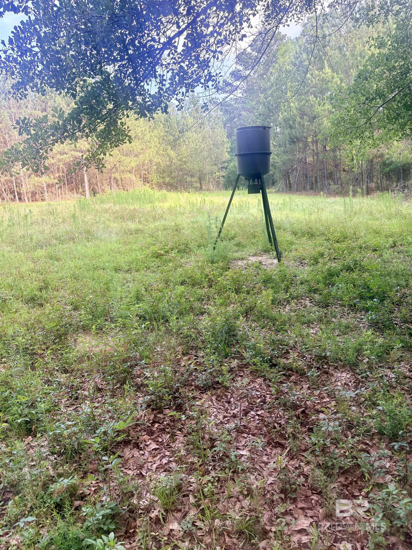 396649 | Photo 13