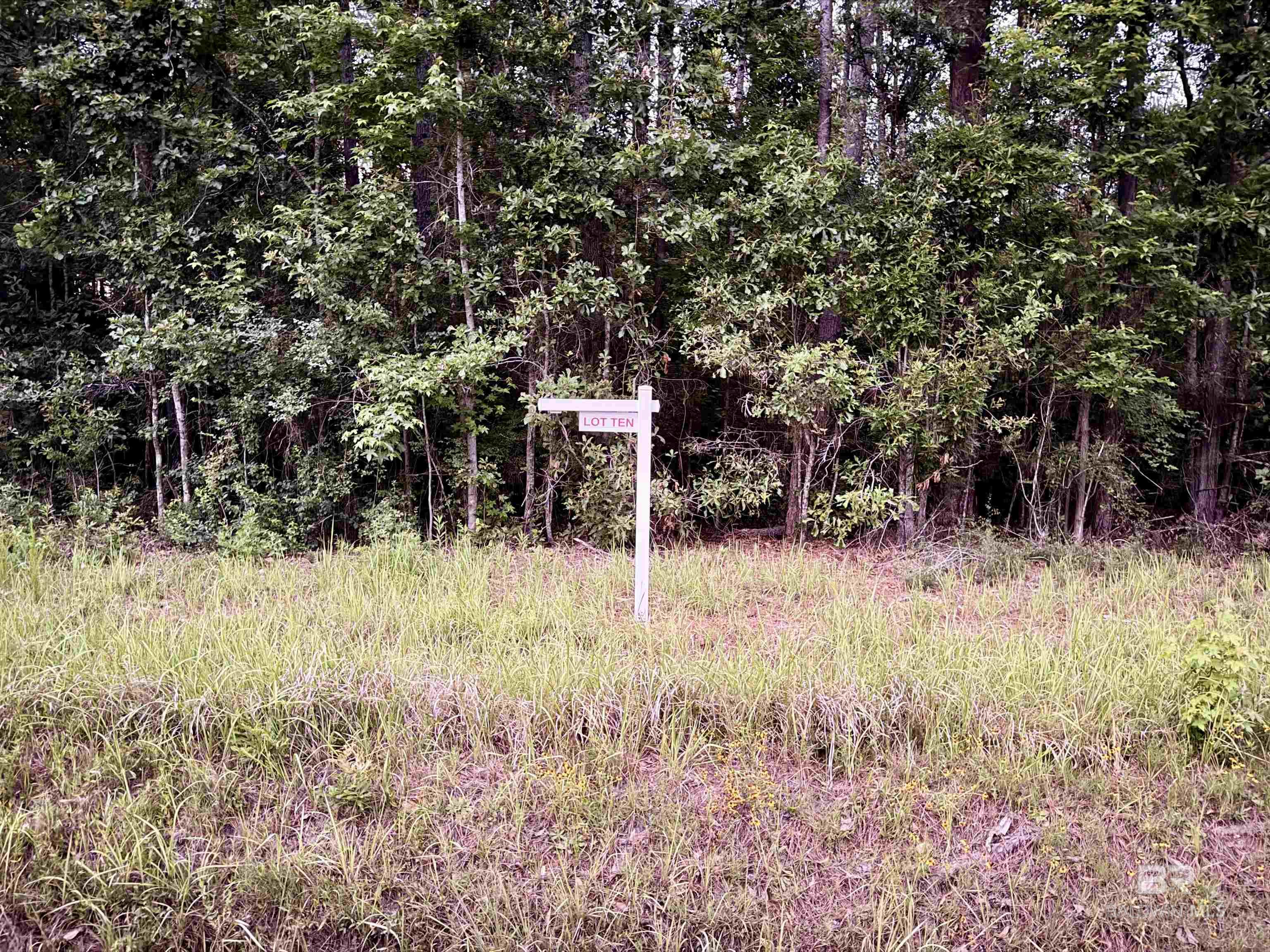 397002 | Photo 14
