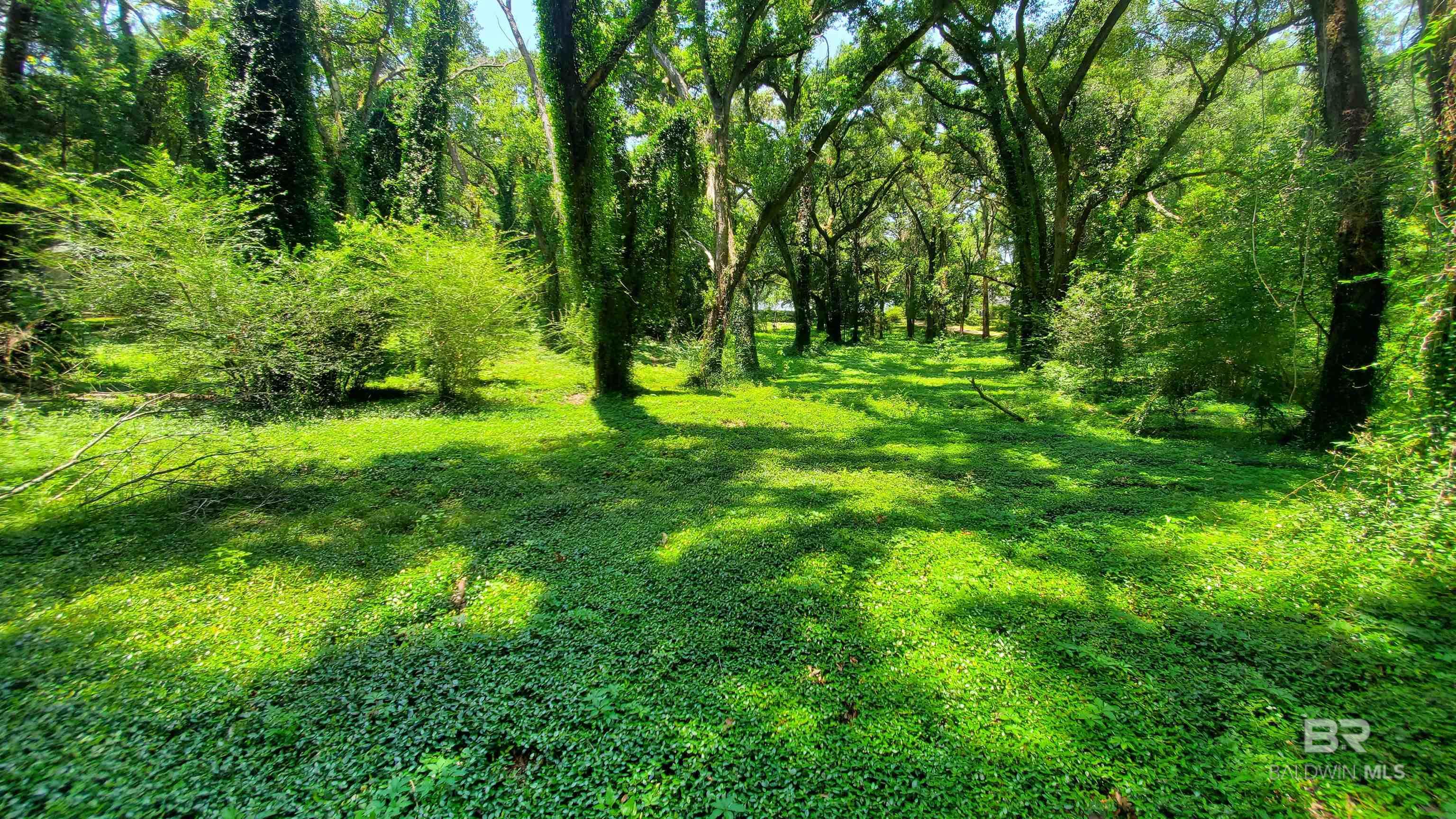 397040 | Photo 12