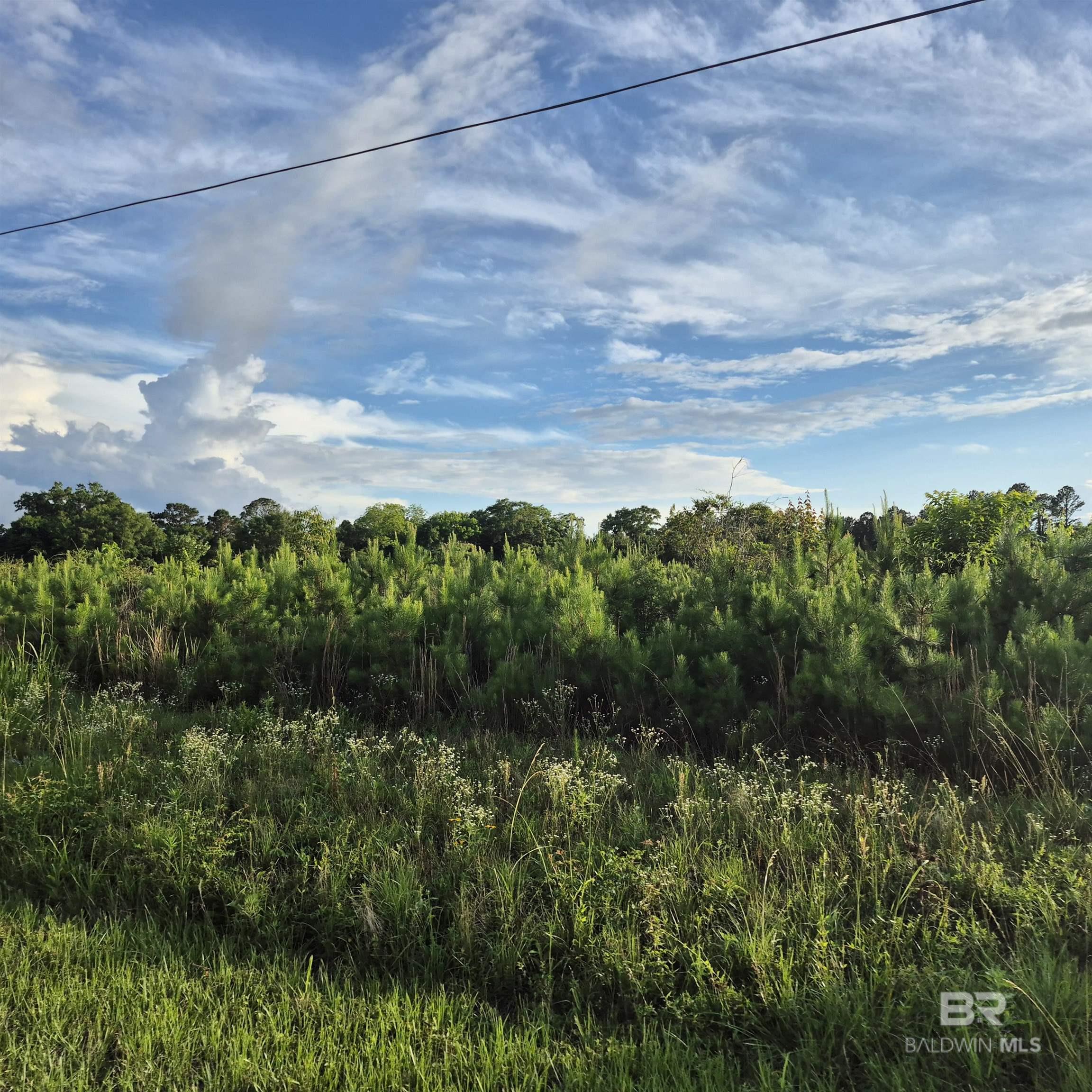 397055 | Photo 2