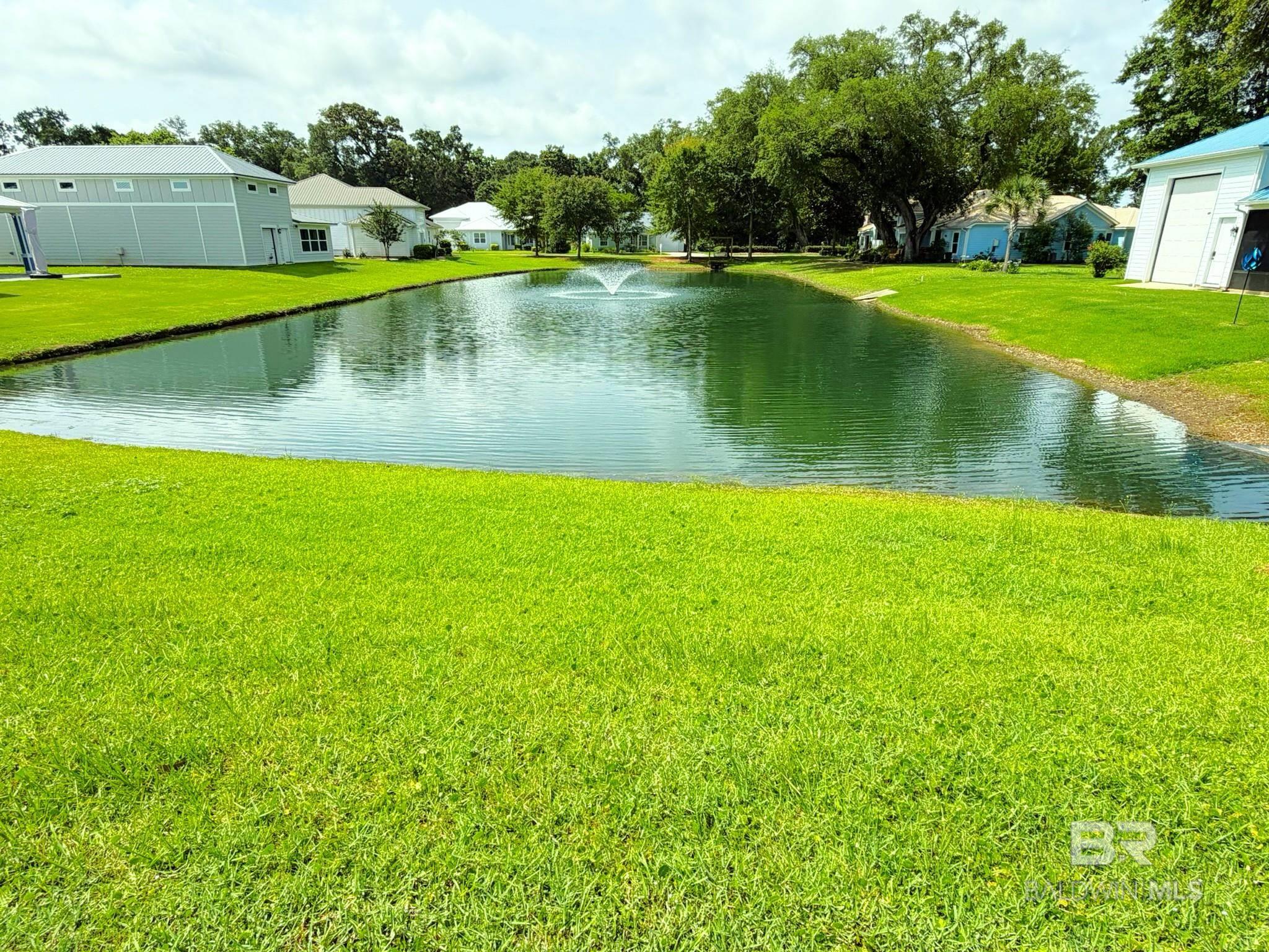 397132 | Photo 12