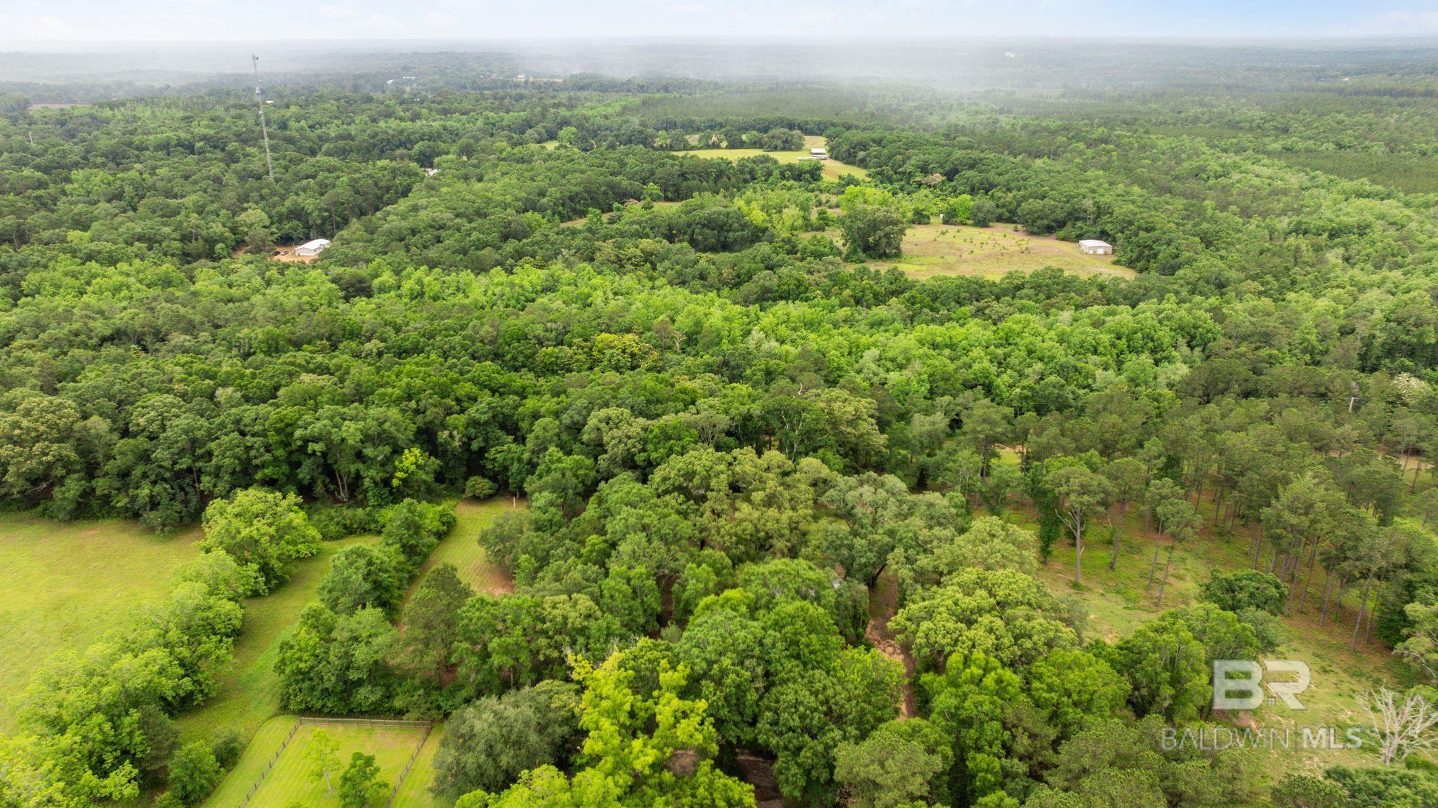 https://zimg.paragon.ice.com/ParagonImages/Property/PG/BCAR/397174/35/0/0/5dbd48f2d794b7d747bb2478bfa651fa/7/0aa2198810ab9e19f2518419a9400b24/397174-6df78475-9d90-40e8-b29a-9b240c1e2e9b.JPG