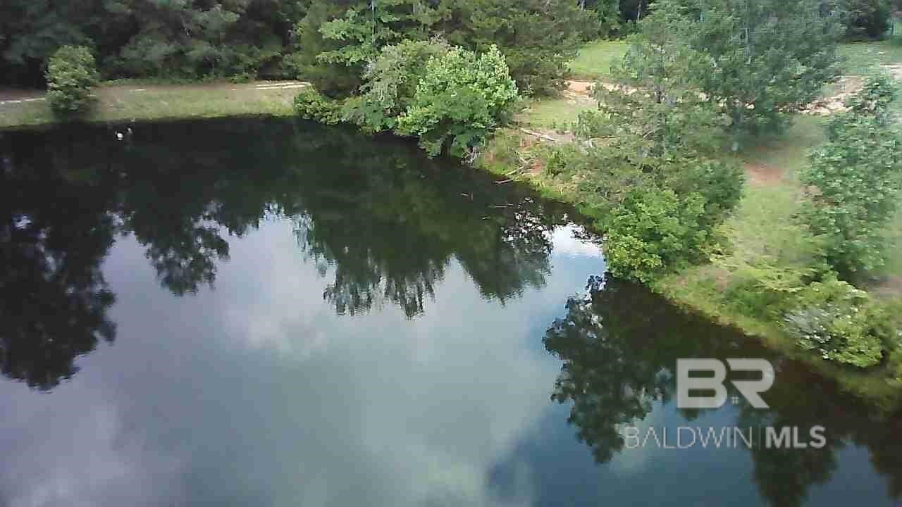 397344 | Photo 61