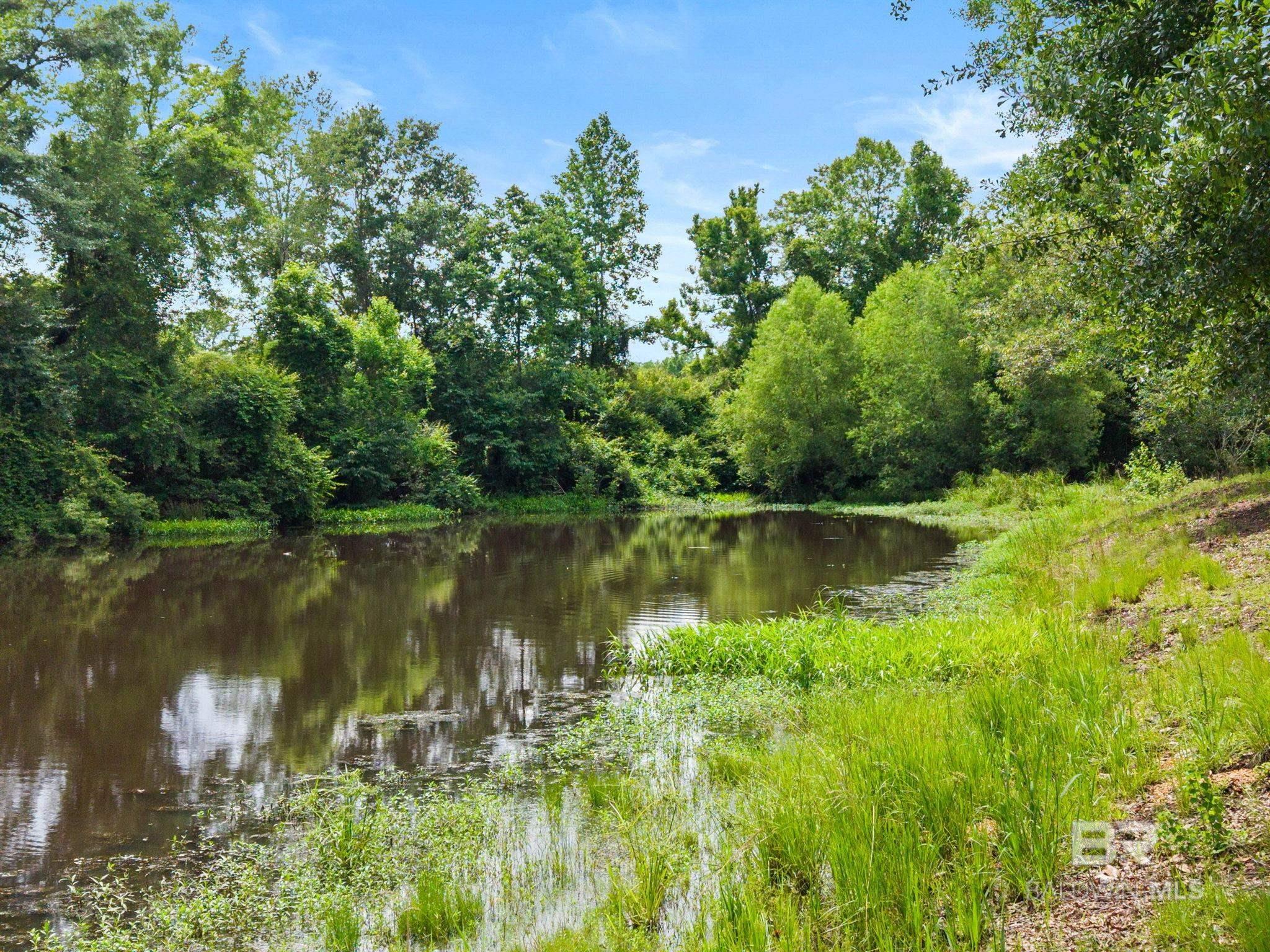 https://zimg.paragon.ice.com/ParagonImages/Property/PG/BCAR/397385/46/0/0/3562c505a325928053c694c07bd41351/7/5c1eef63ba735591a721ad6228f702e2/397385-8af02750-fcf6-4895-a76a-a3c01cb8ab1b.JPG