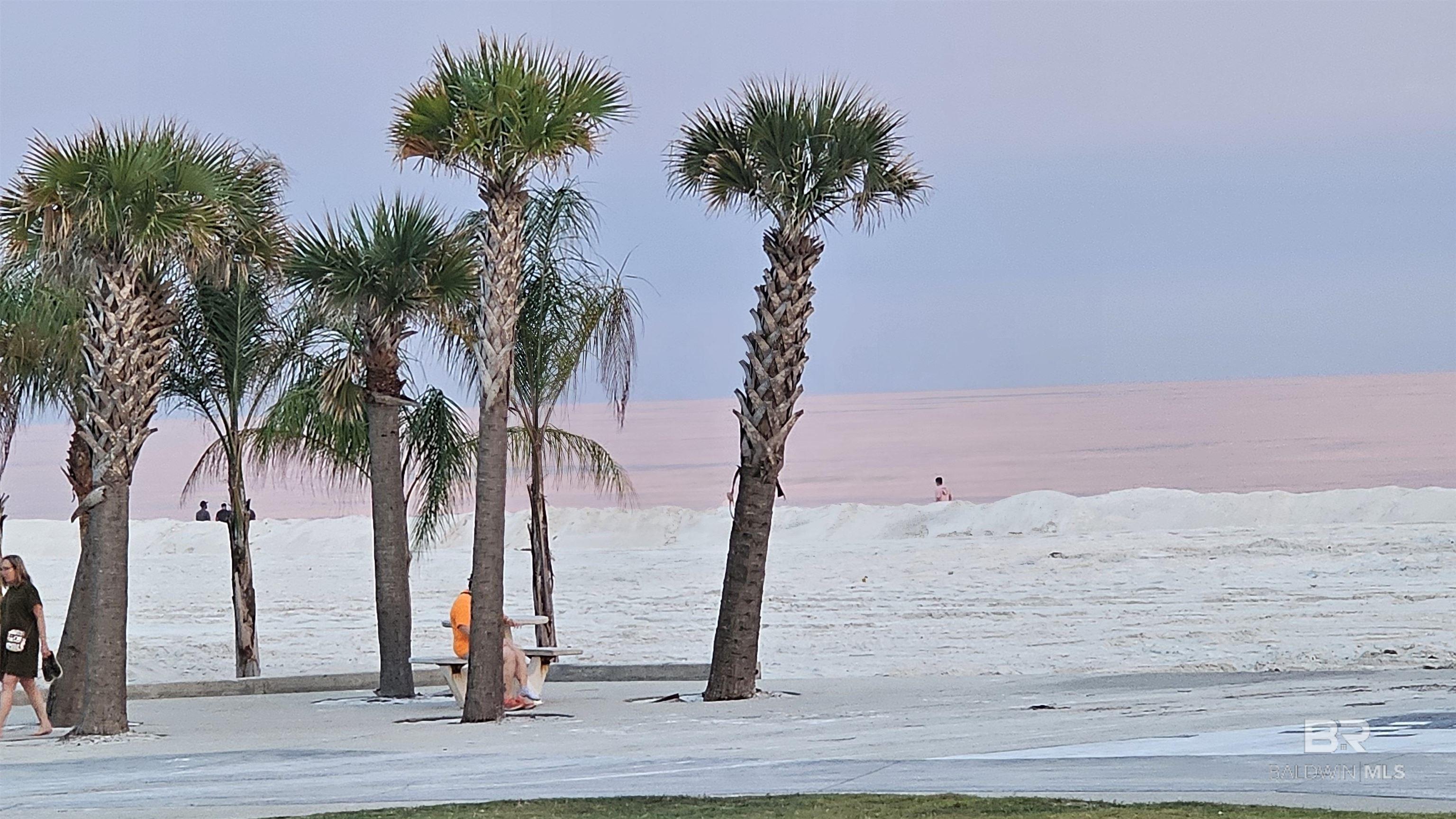 https://zimg.paragon.ice.com/ParagonImages/Property/PG/BCAR/397481/78/0/0/5338d16cfa26f31fe419ca7c8098ea39/7/72e19a31db36baa1e9dba0def3ac4bd1/397481-217C748D-691B-4FA6-BBA2-E34E085ED3FA.JPG