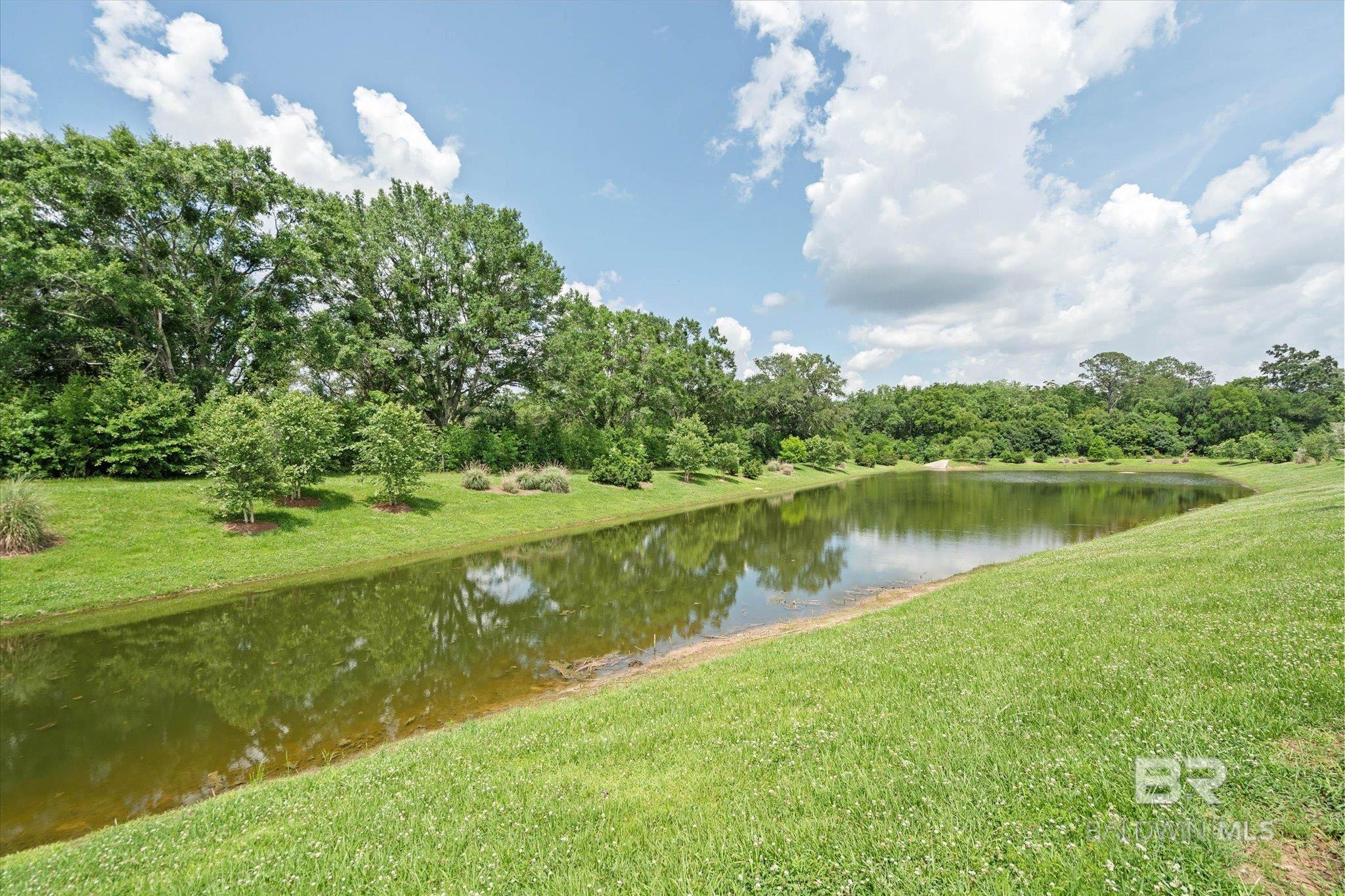 397565 | Photo 28