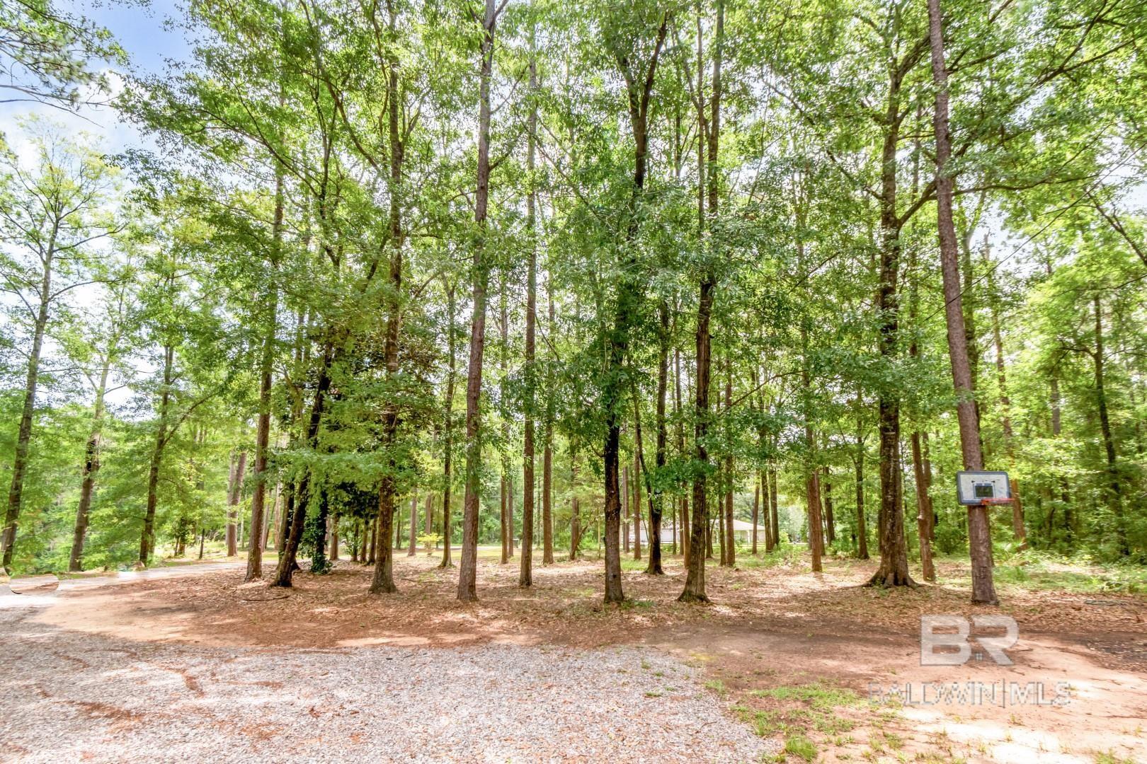 https://zimg.paragon.ice.com/ParagonImages/Property/PG/BCAR/397642/25/0/0/99ab943d518a2c8968c2ce3008185566/7/f2d4cd2042adc1b1bbc2fe1c285f623e/397642-4963722a-225f-40d9-b16b-4fbf279a6526.JPG