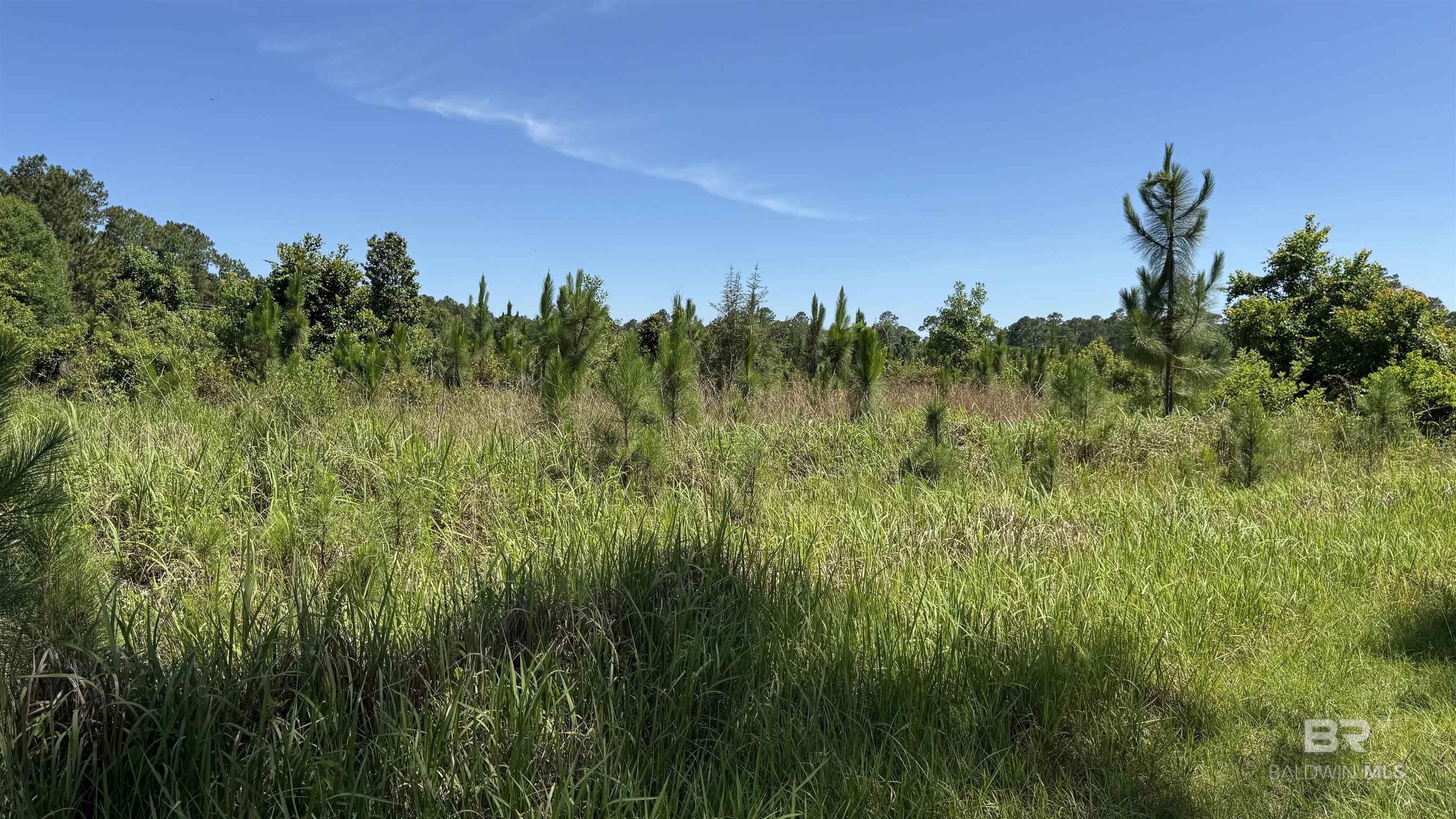 397797 | Photo 31