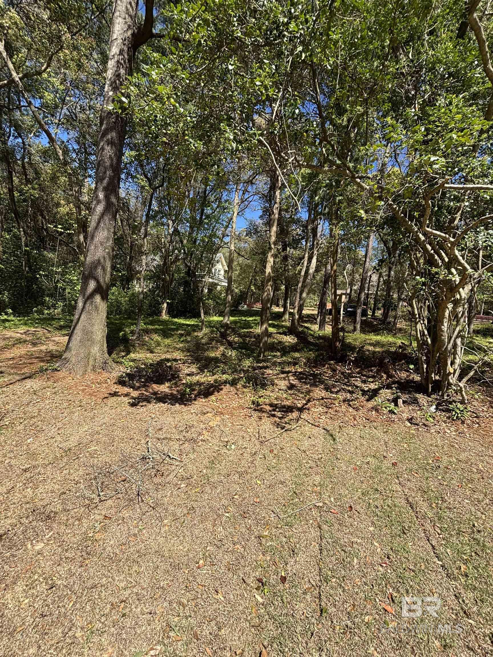 397837 | Photo 22
