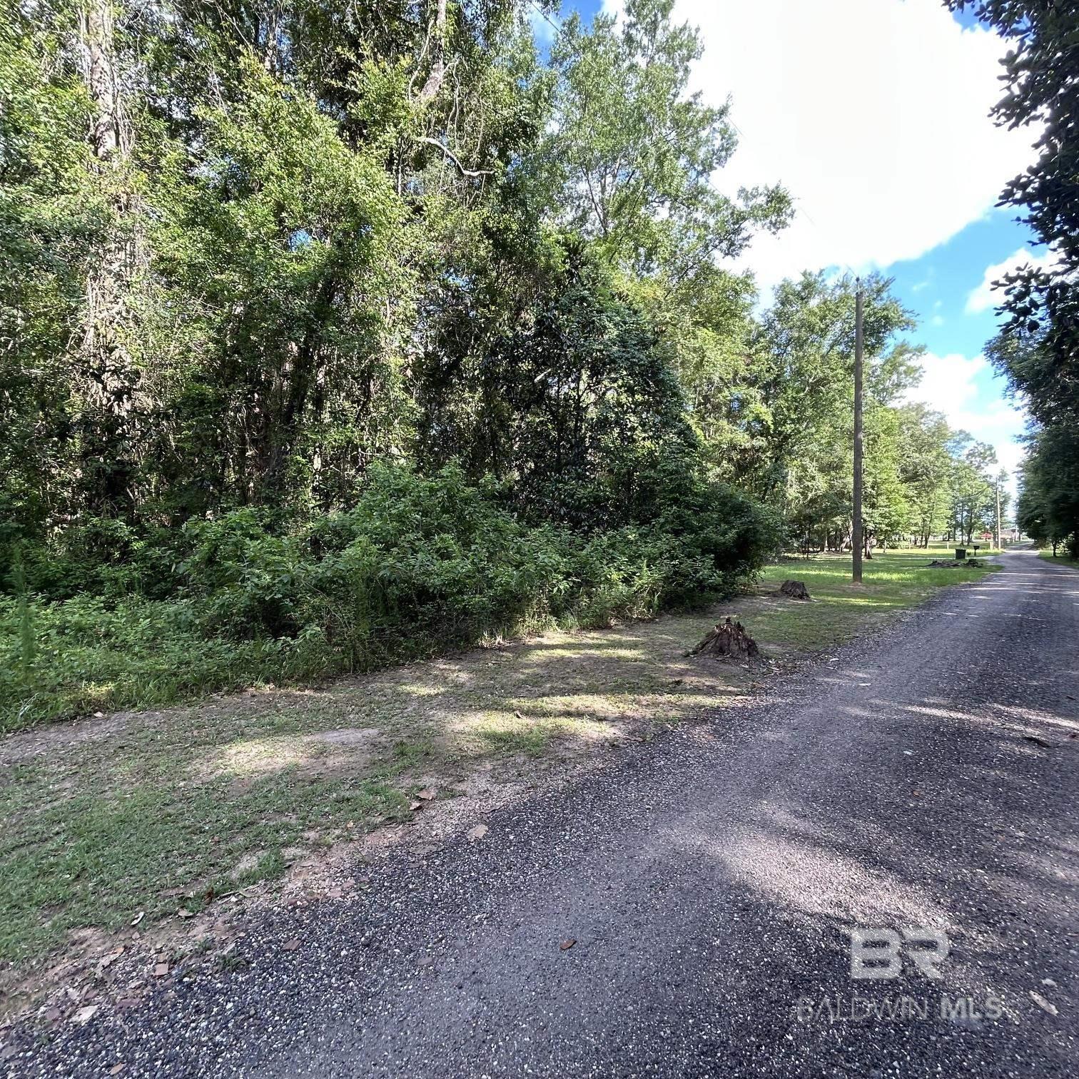 397876 | Photo 3