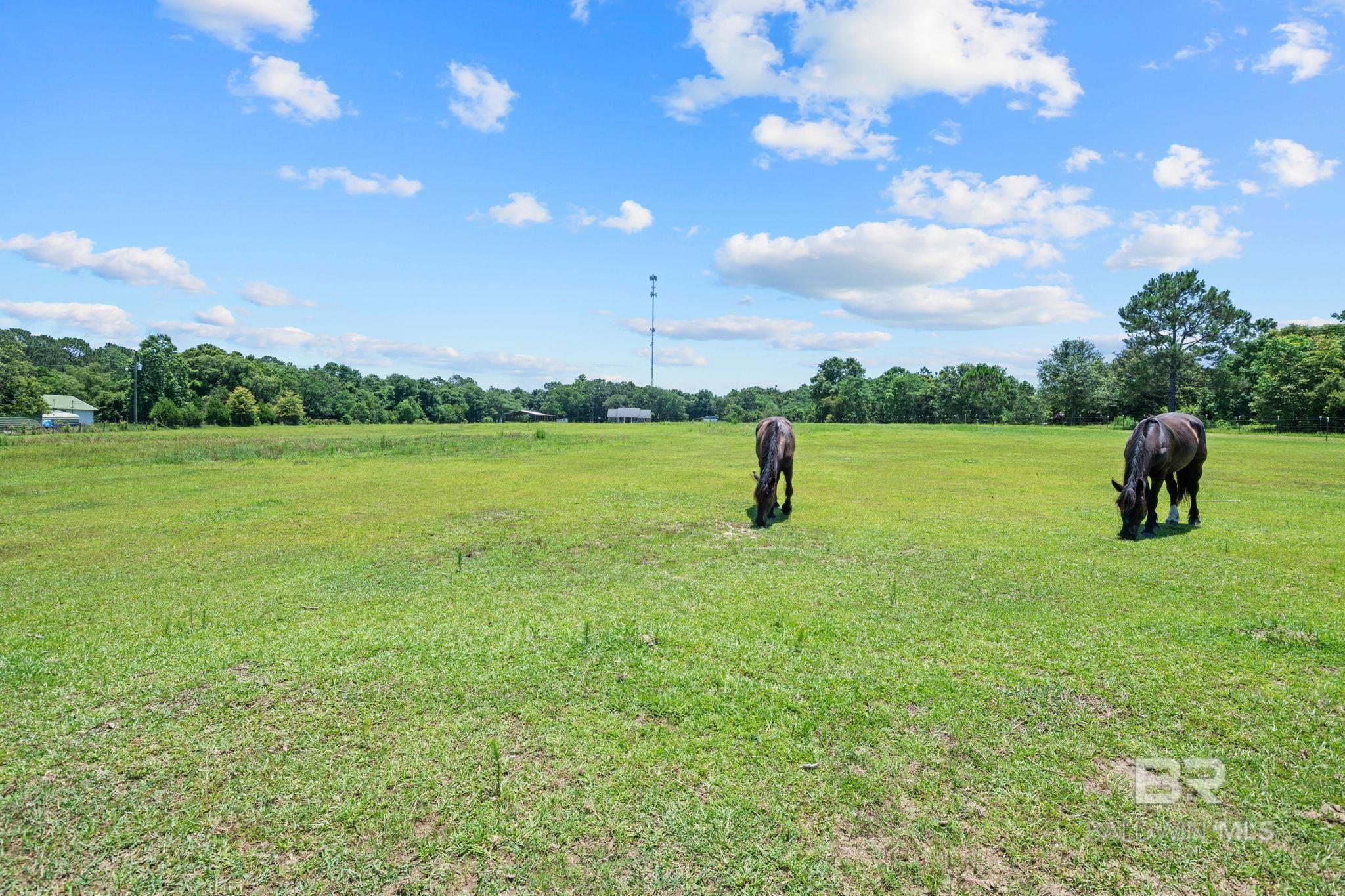 398147 | Photo 4