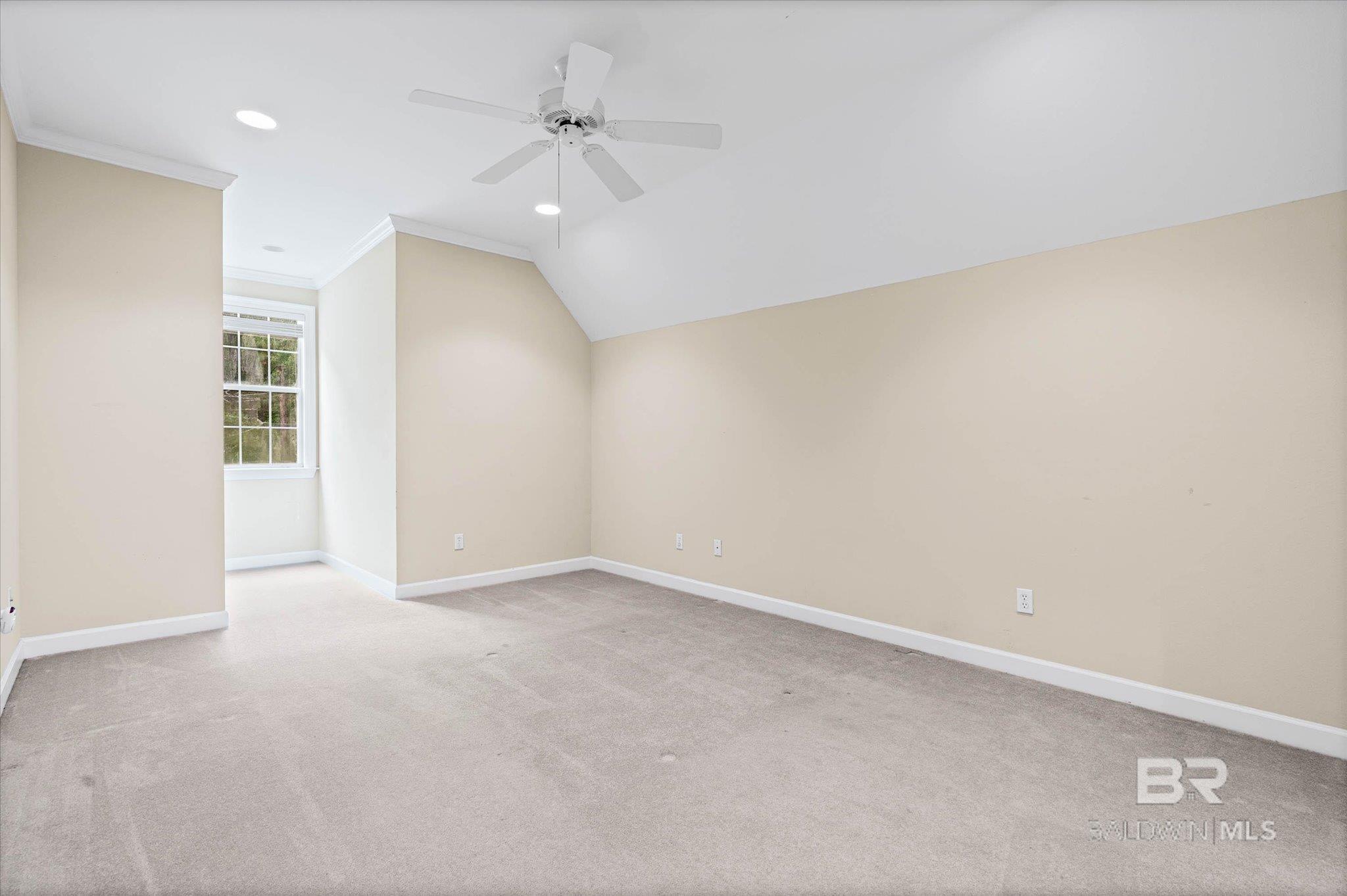 398151 | Photo 20