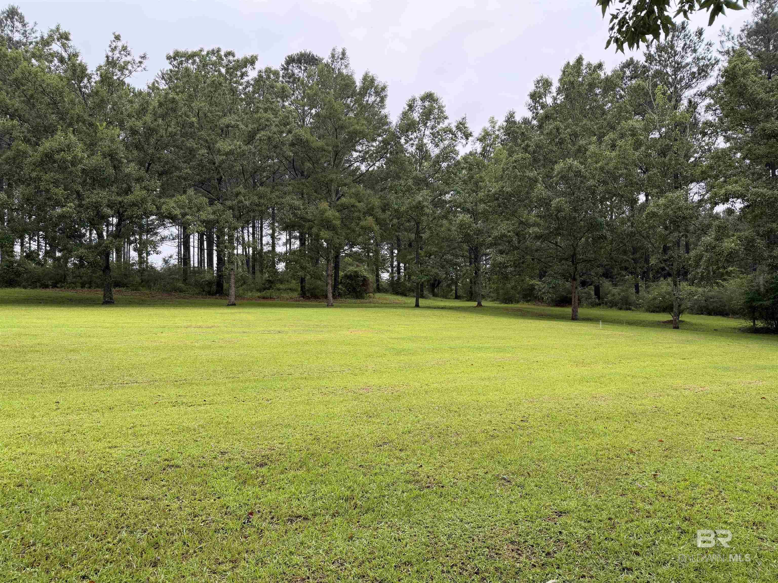 https://zimg.paragon.ice.com/ParagonImages/Property/PG/BCAR/398224/64/0/0/34166d7a8652144470566b0805a5d38a/7/d327cdf6e7b21a5101195d582b920d9d/398224-be64f86e-9b51-40c9-8282-127edd9acdeb.JPG