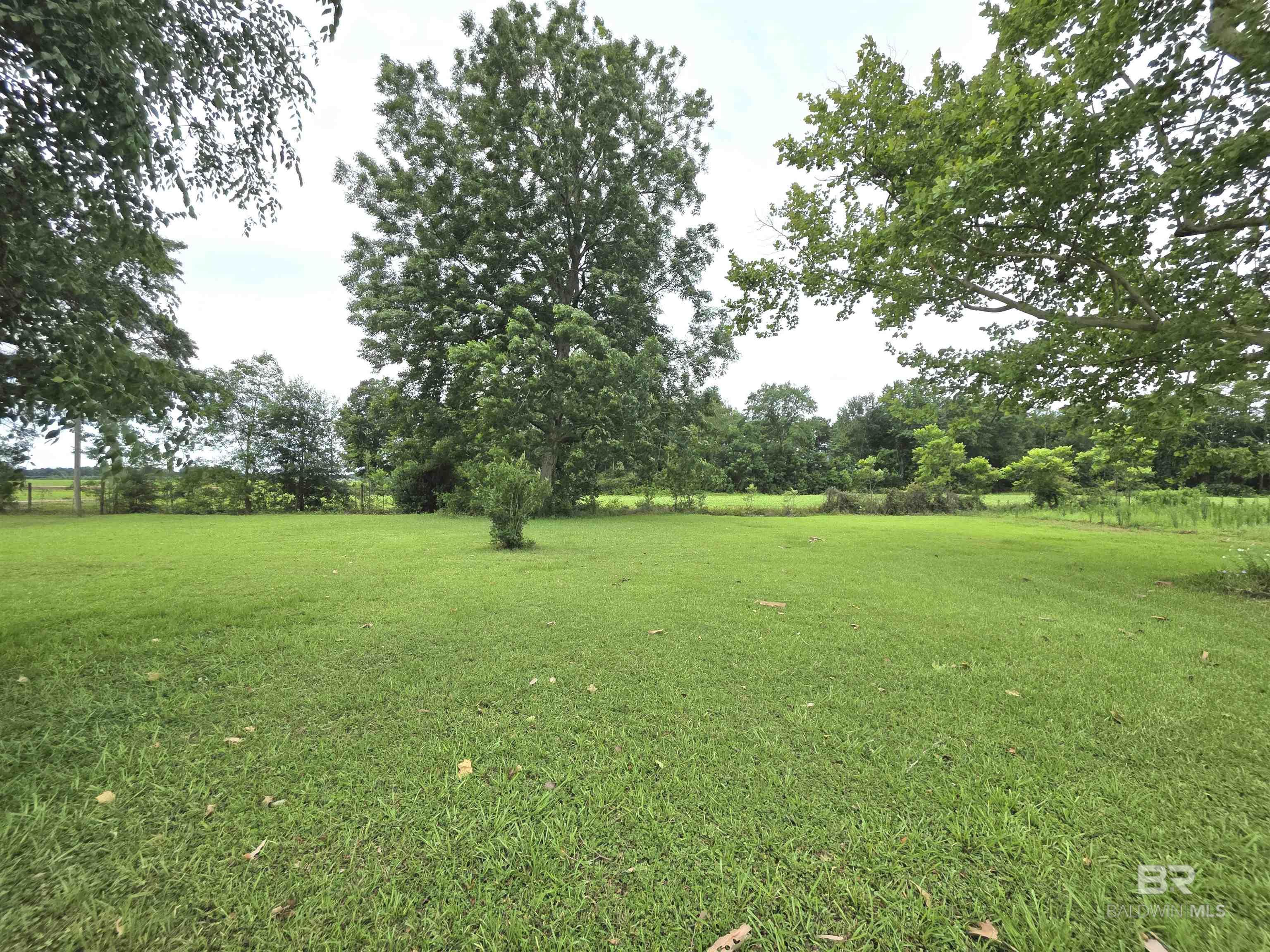 398263 | Photo 23