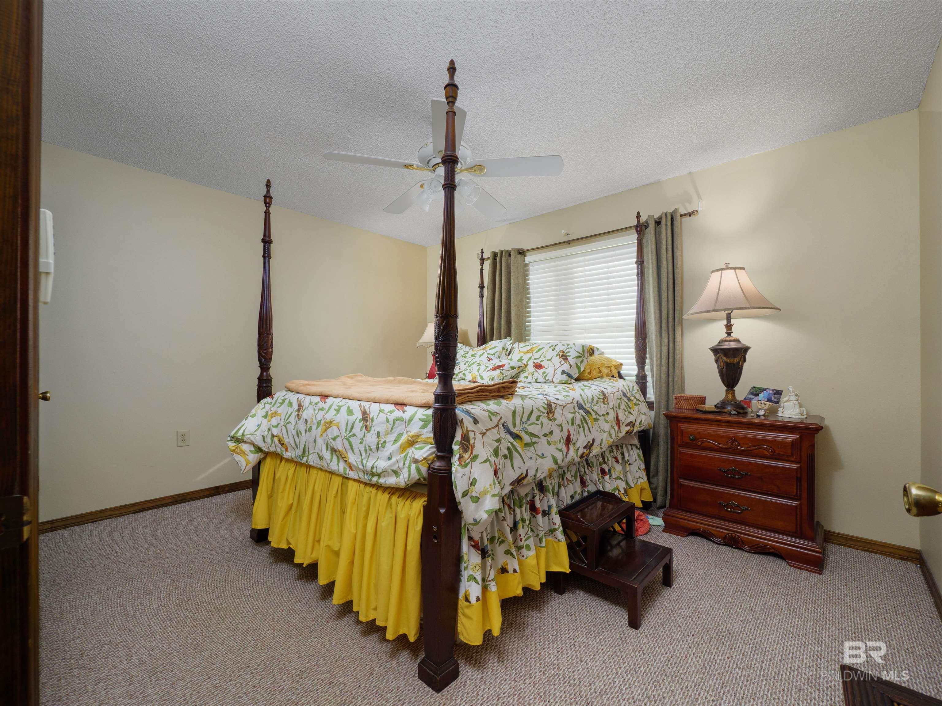 398299 | Photo 22