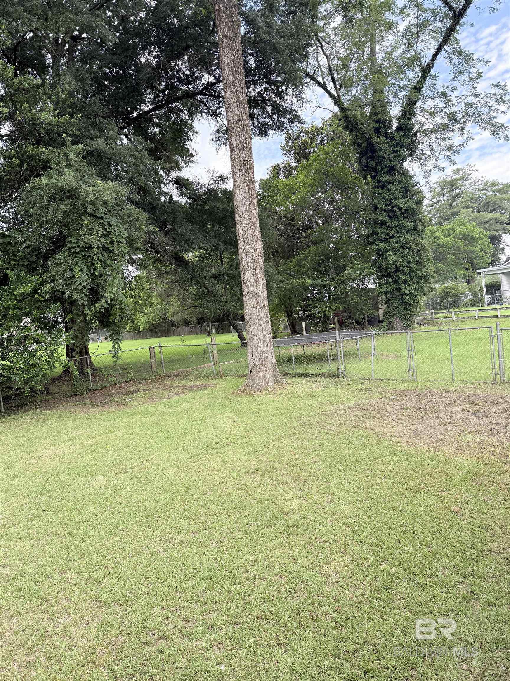 398311 | Photo 3