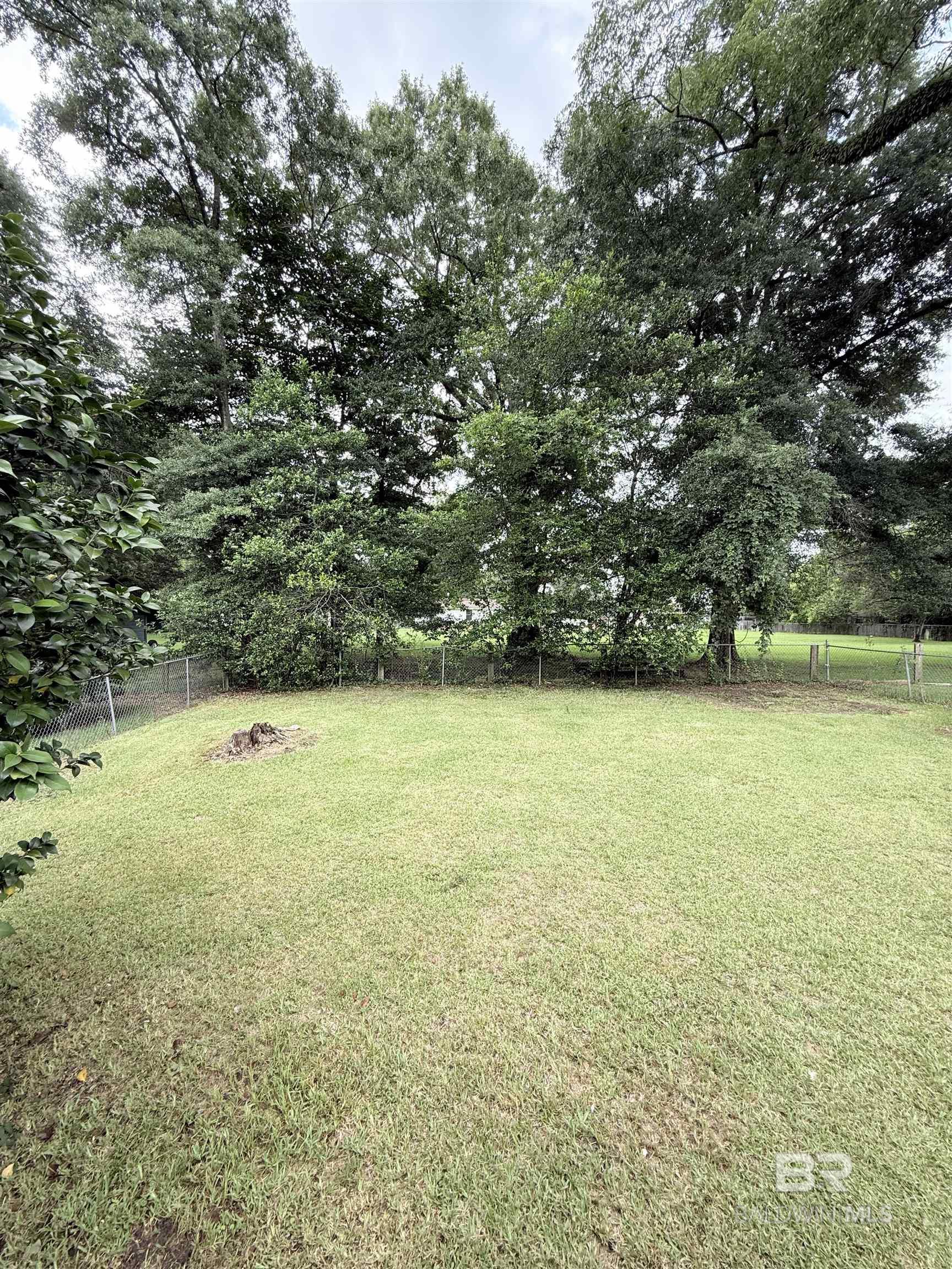 398311 | Photo 4