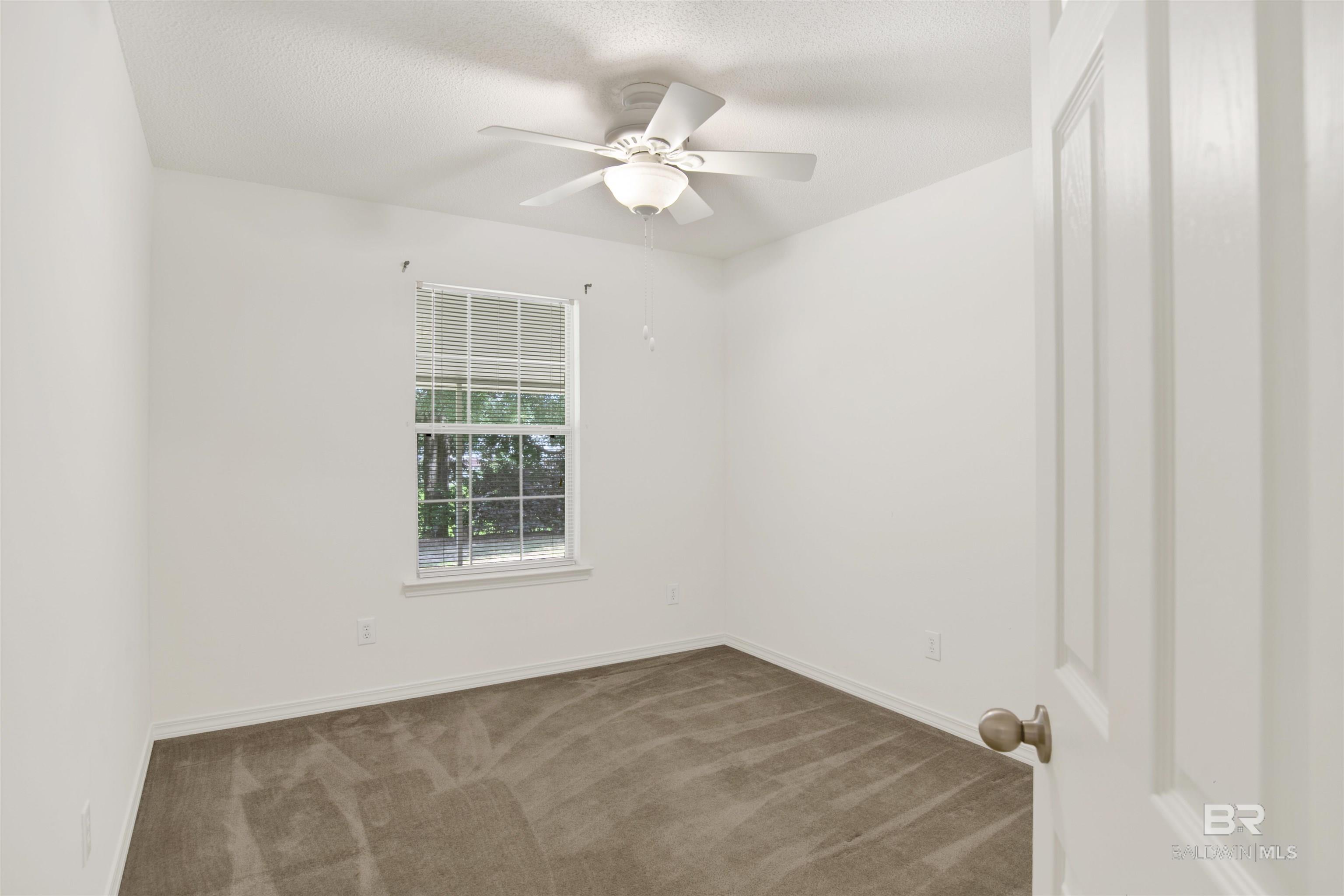 398363 | Photo 23