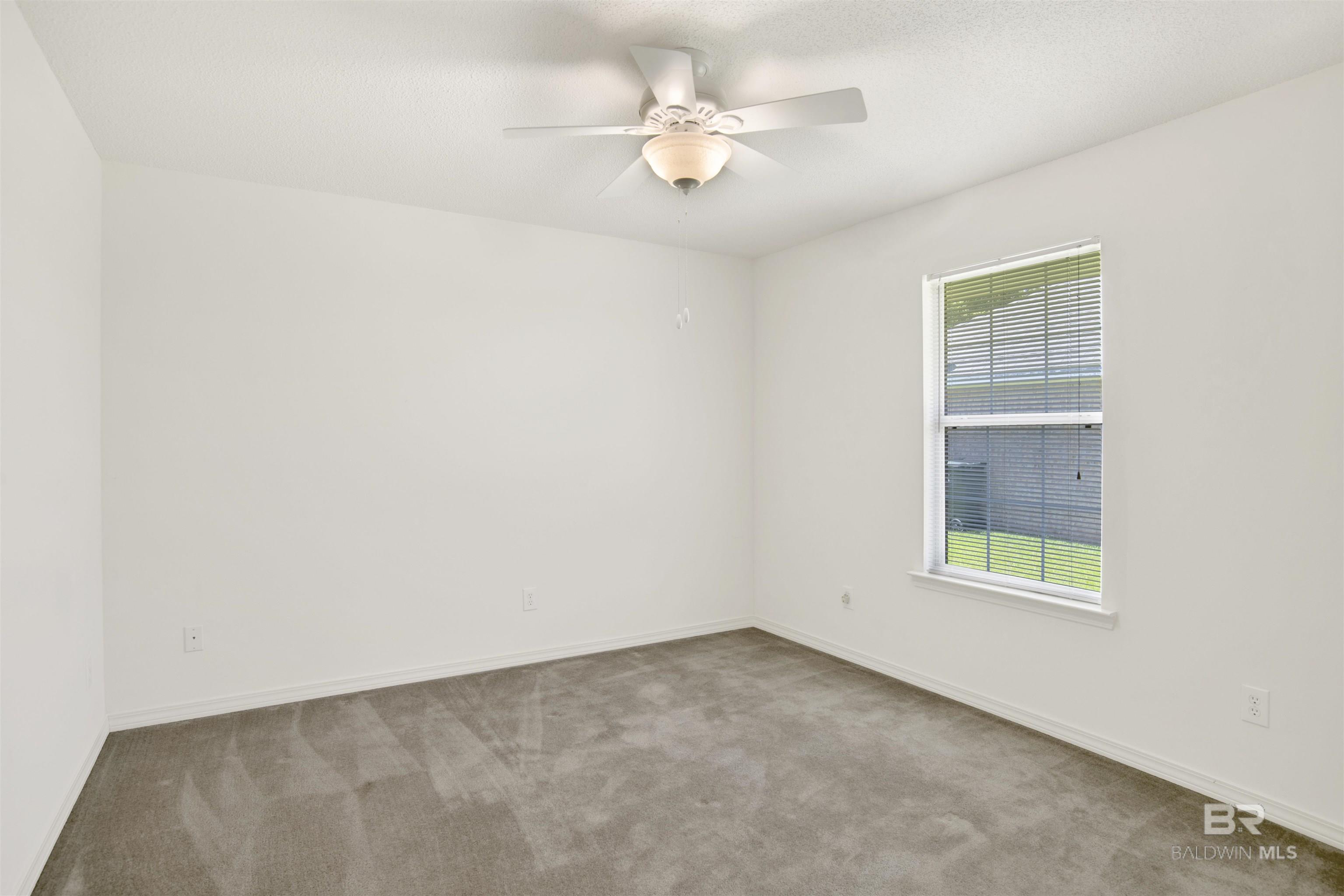 398363 | Photo 24