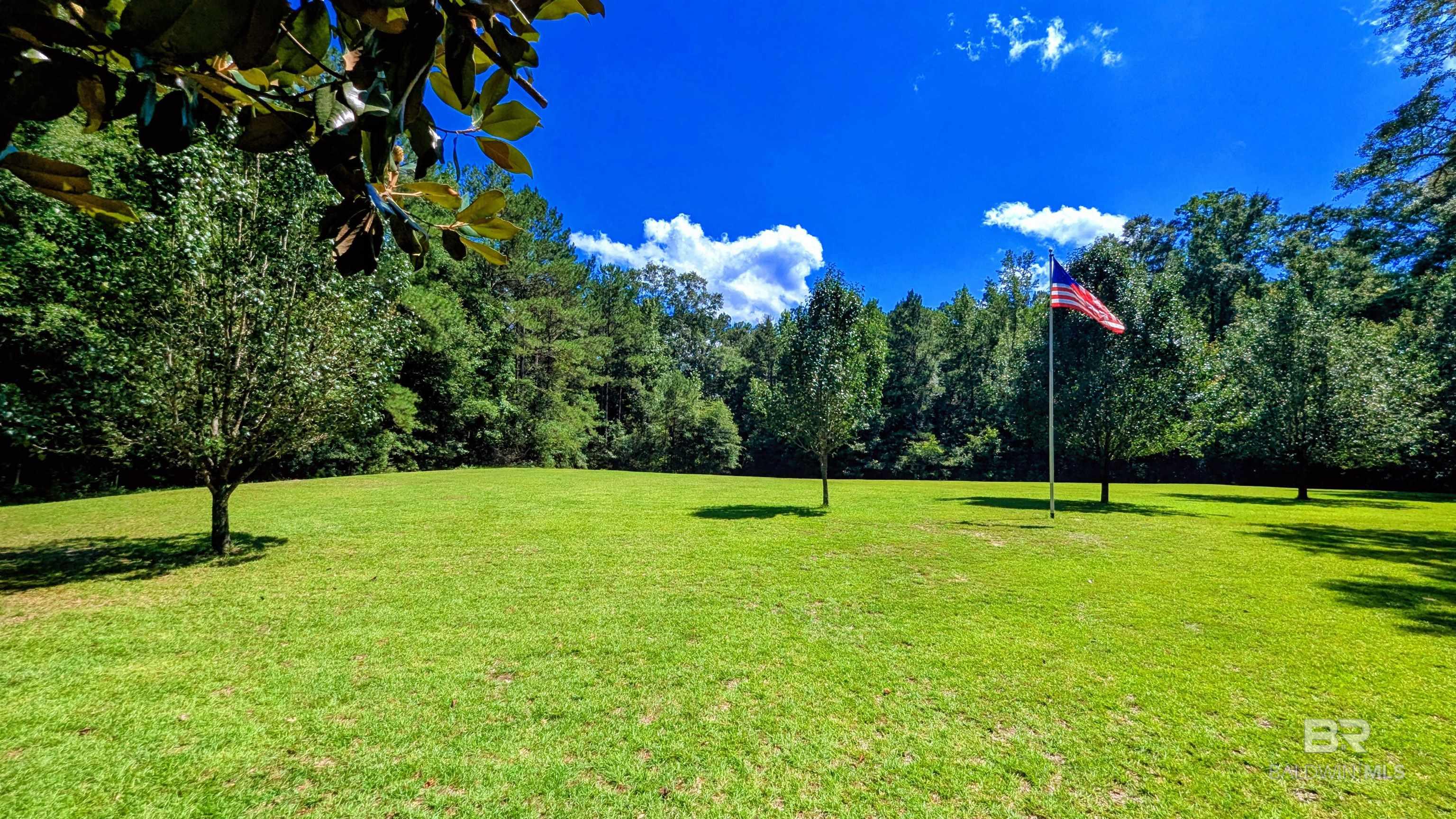 398364 | Photo 91