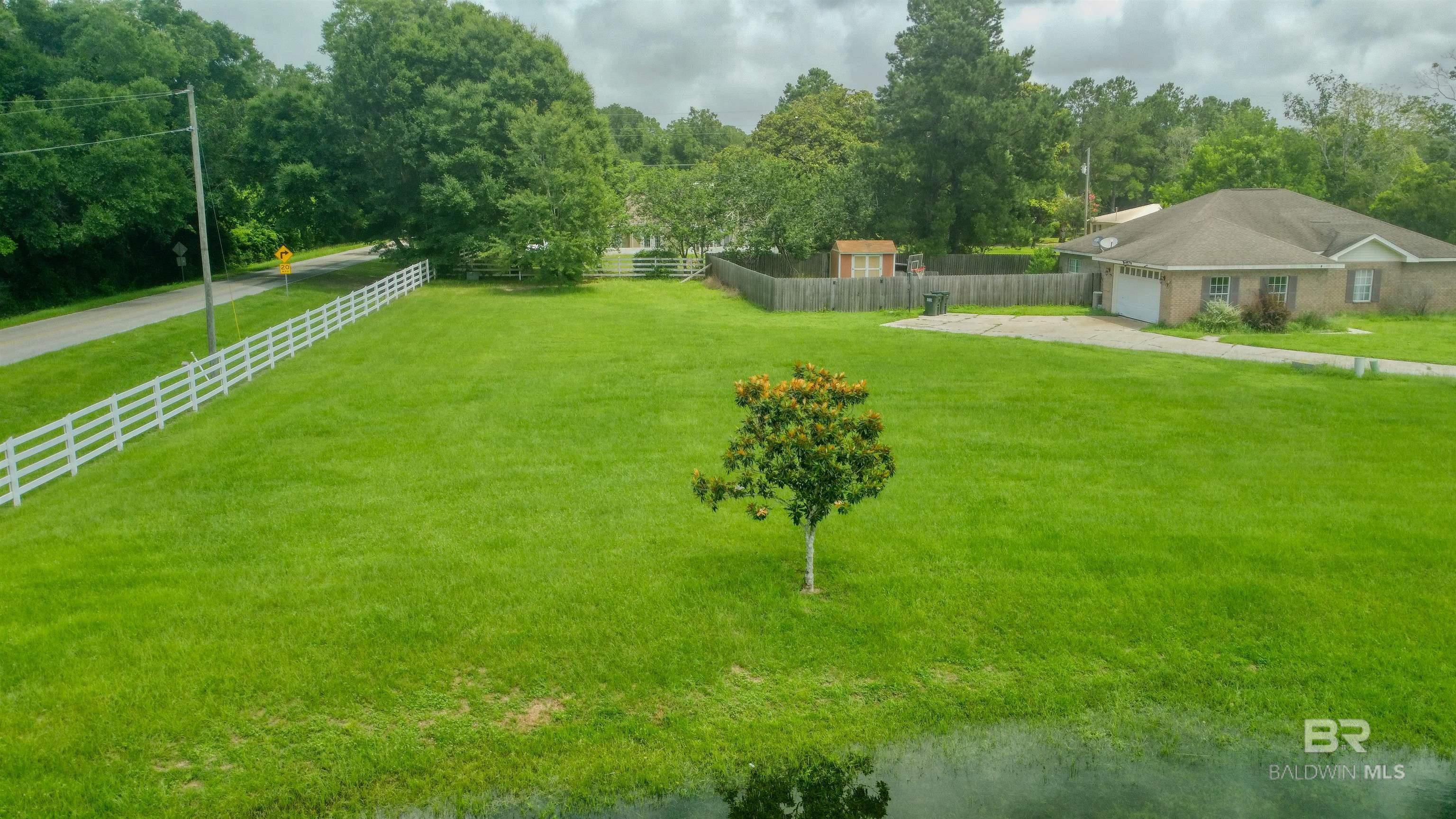 398365 | Photo 13