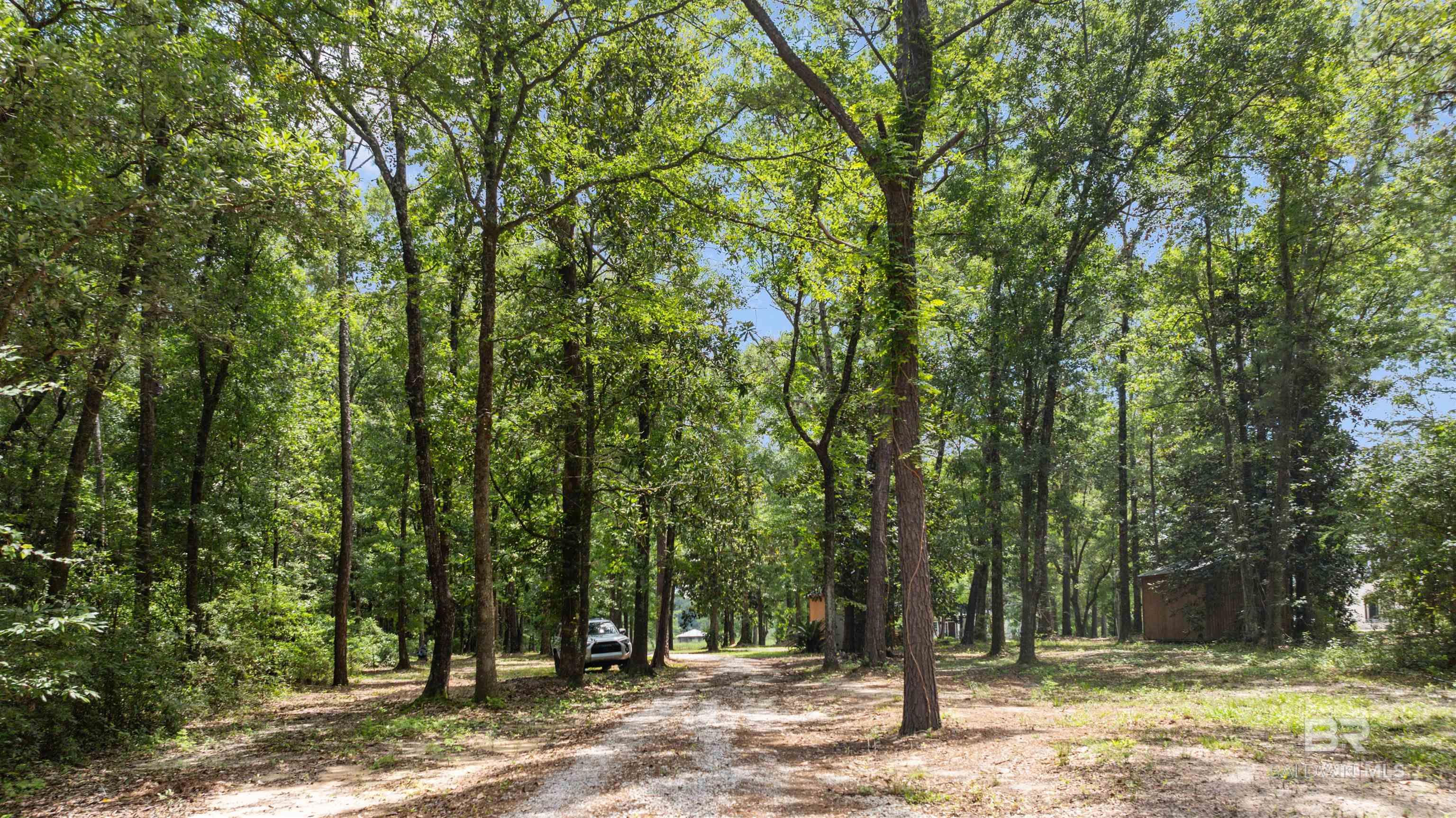 398450 | Photo 23