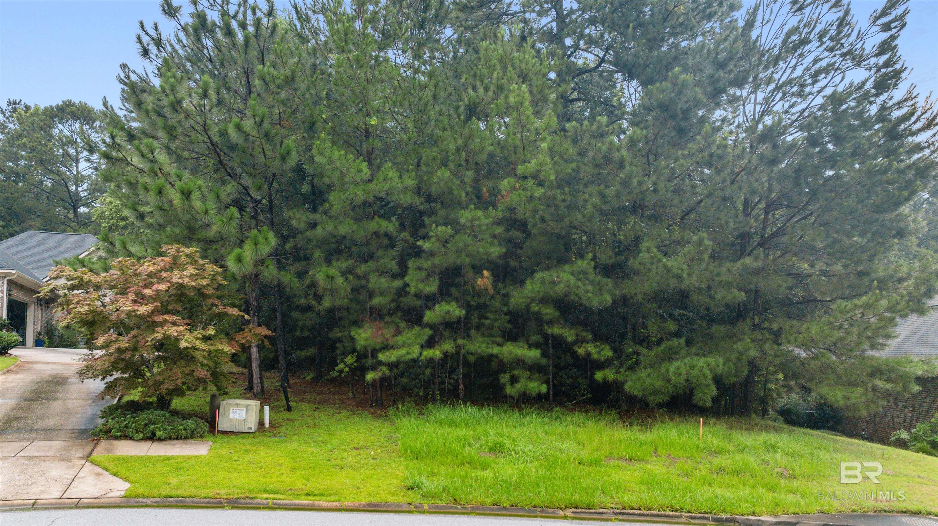 398534 | Photo 3
