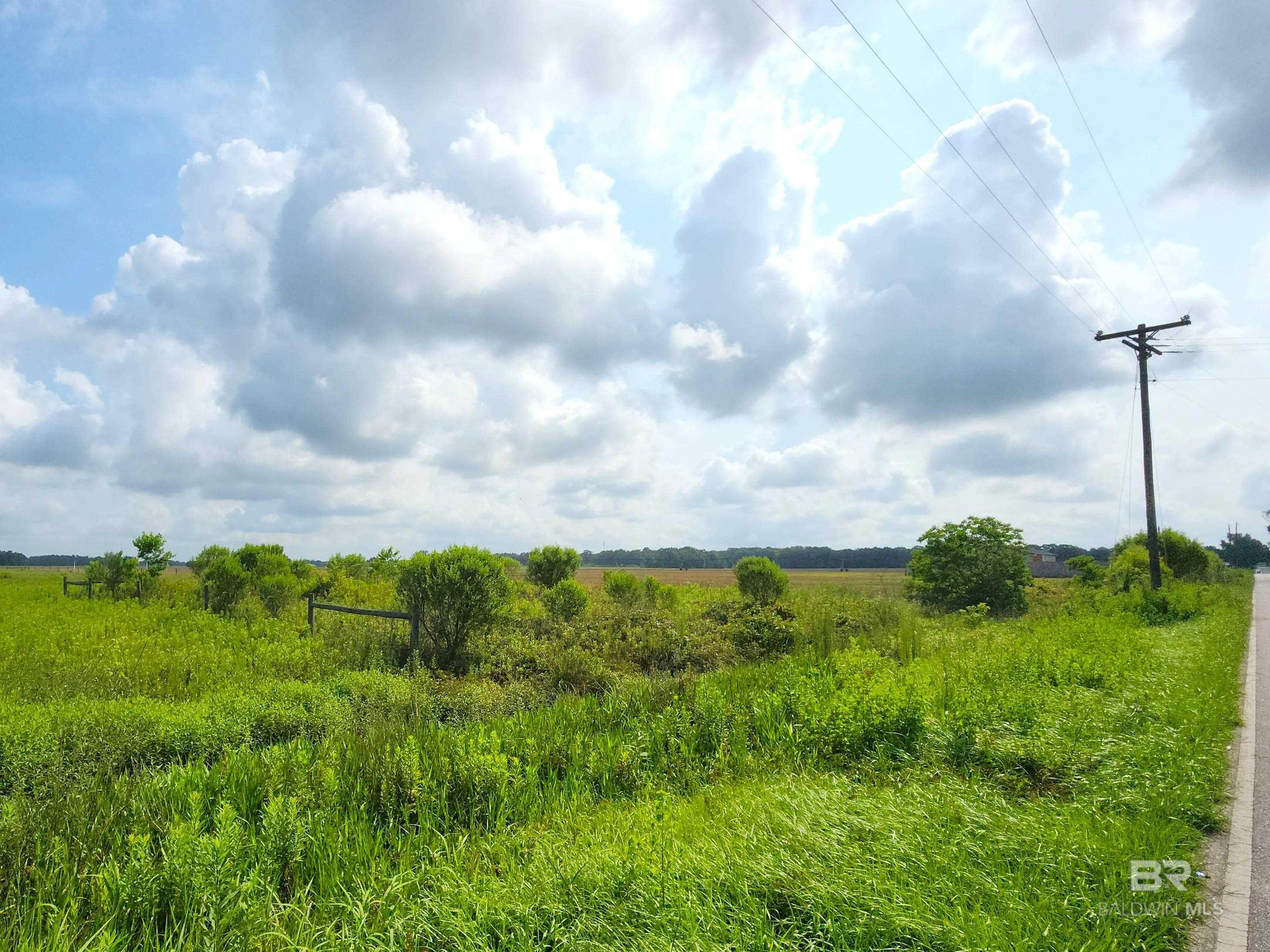 398607 | Photo 2