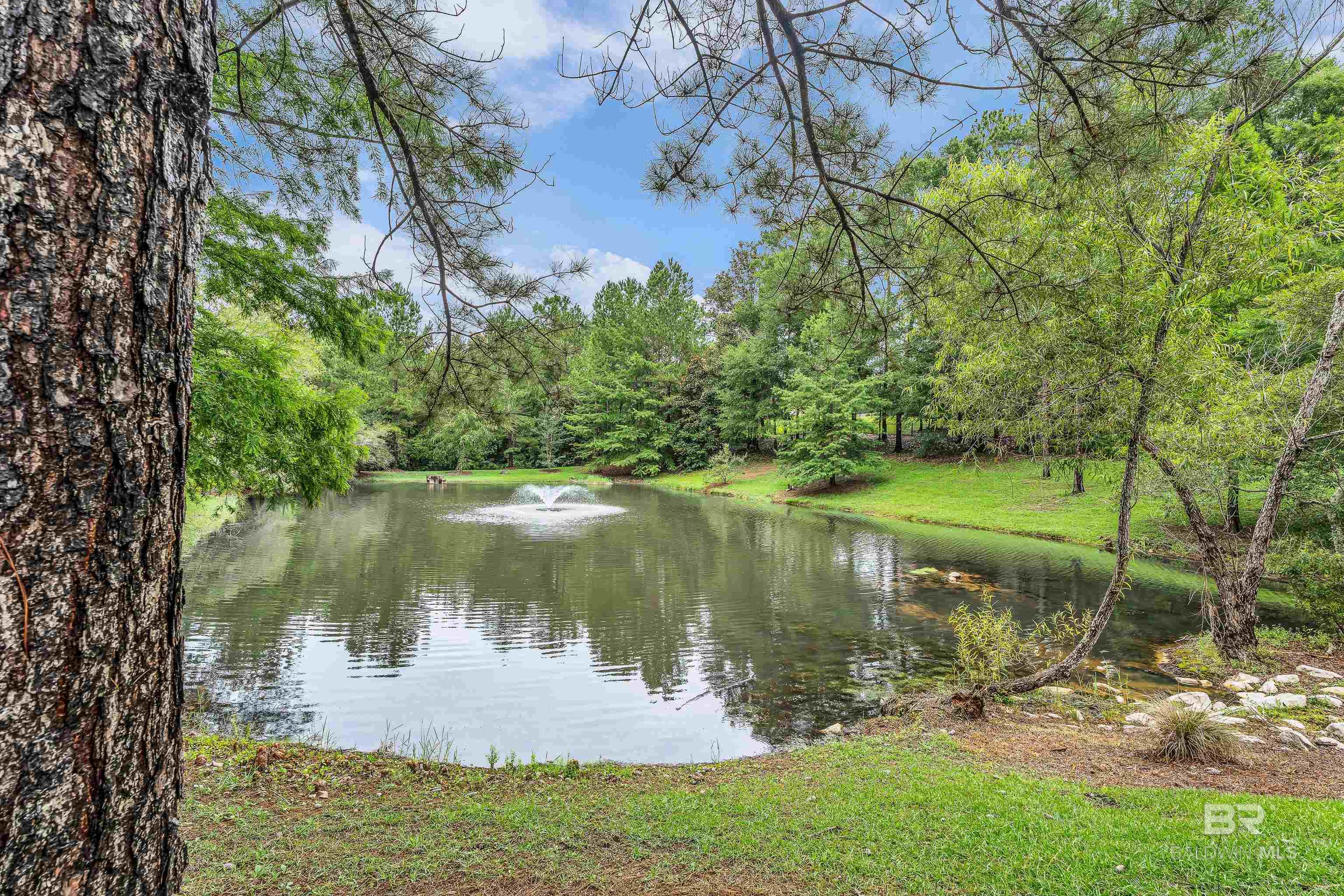 https://zimg.paragon.ice.com/ParagonImages/Property/PG/BCAR/398629/46/0/0/3db95ddb75816172041c2b06d0389601/7/1b8ca458821da60346697011d0b7034b/398629-caa5cc3e-7a5f-4a2f-94b0-f1075327e039.JPG