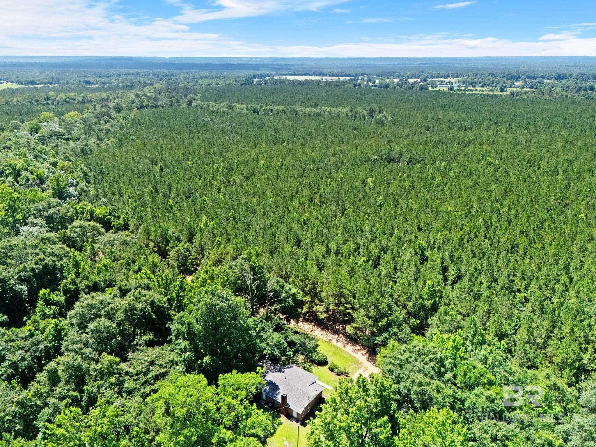 https://zimg.paragon.ice.com/ParagonImages/Property/PG/BCAR/398654/42/0/0/88103c70b461f953799096d64038af31/7/48c904ddc0ce49afabfb85dd29d4a145/398654-72b17ba7-12d2-46db-bd50-68bd38b4a5ef.JPG