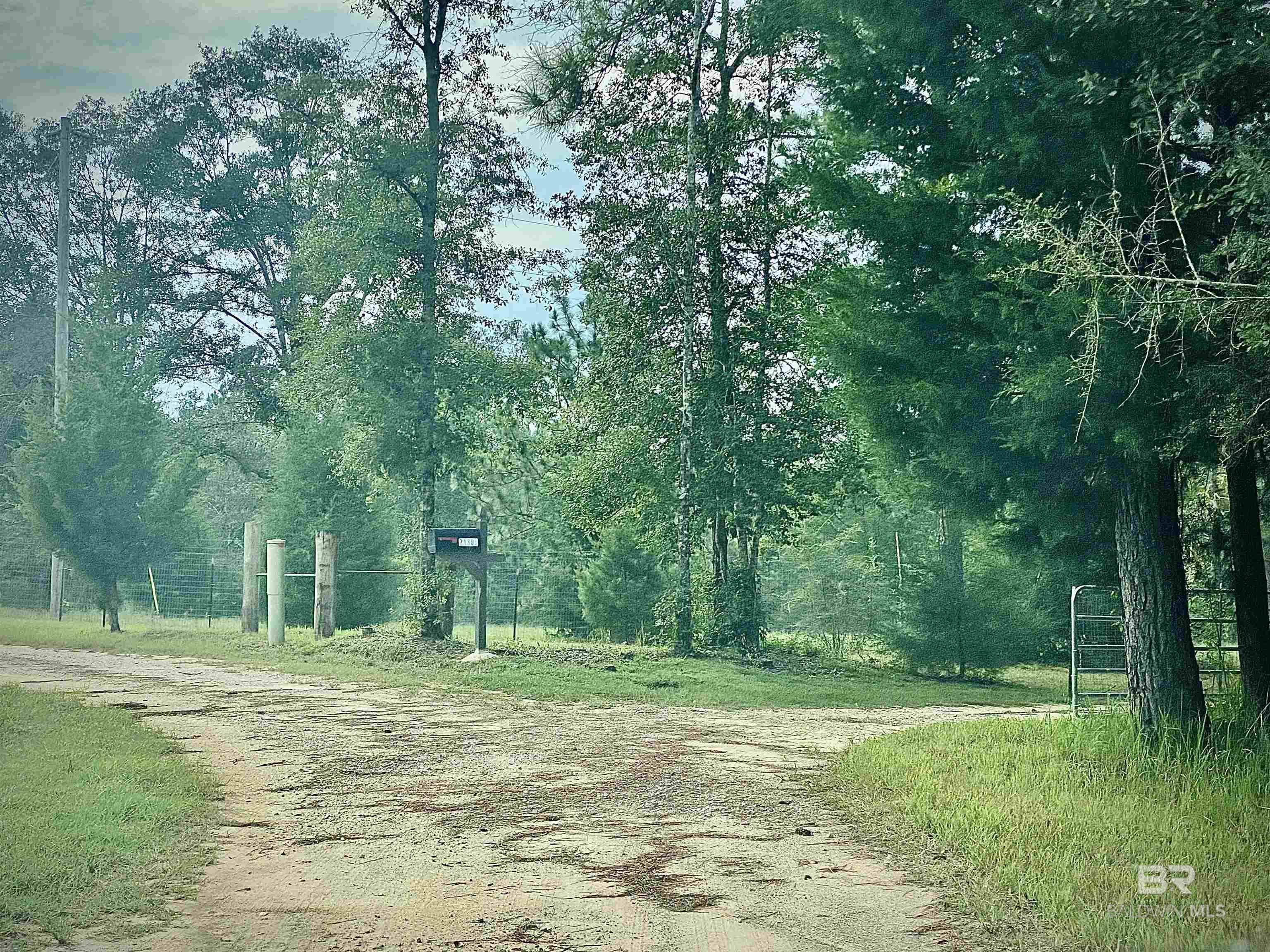 398672 | Photo 40