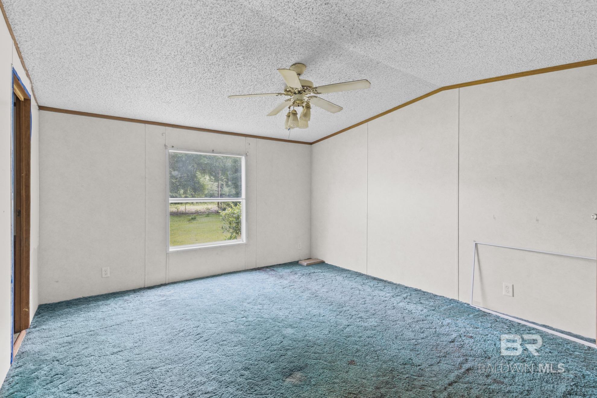 398713 | Photo 11