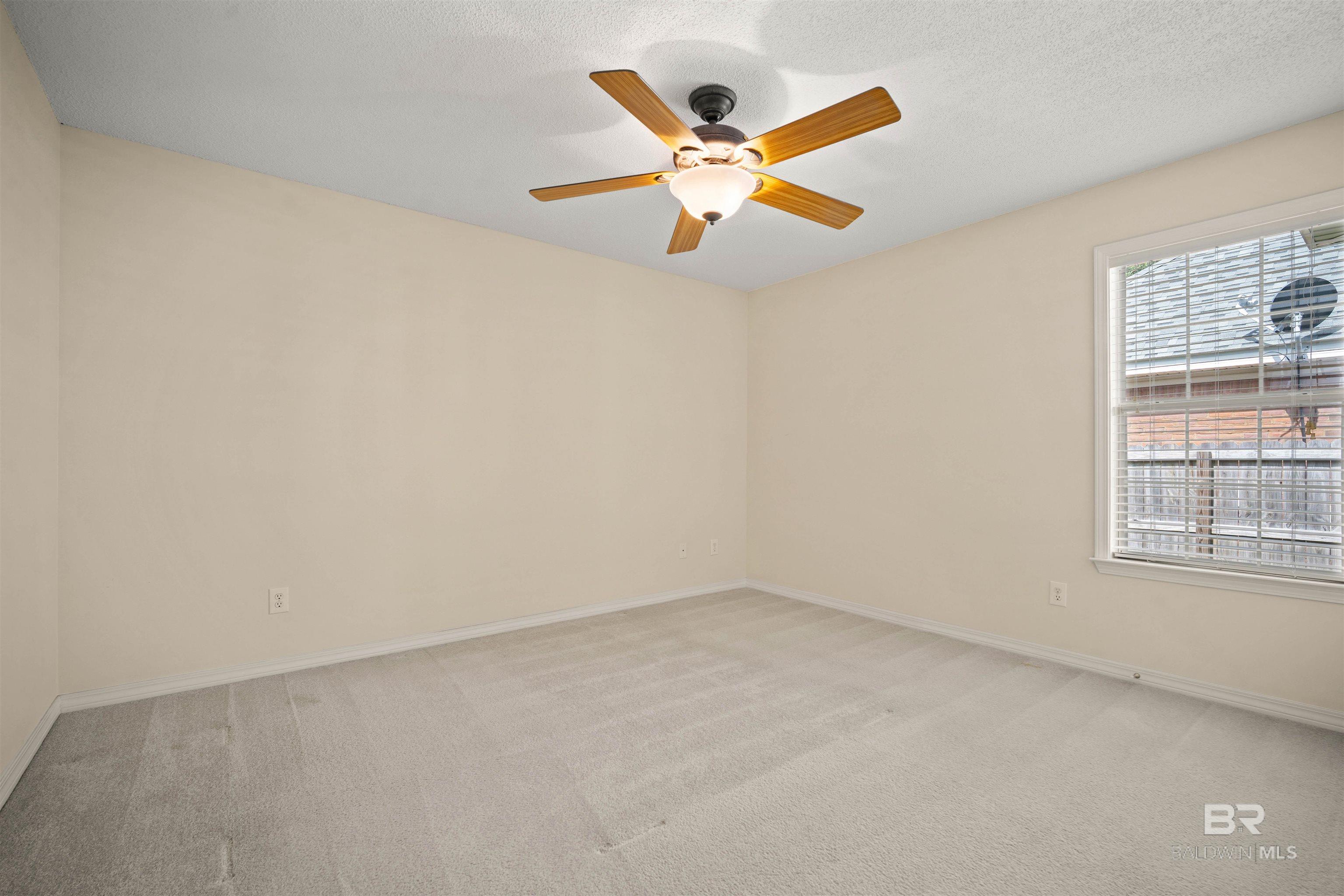 398753 | Photo 23