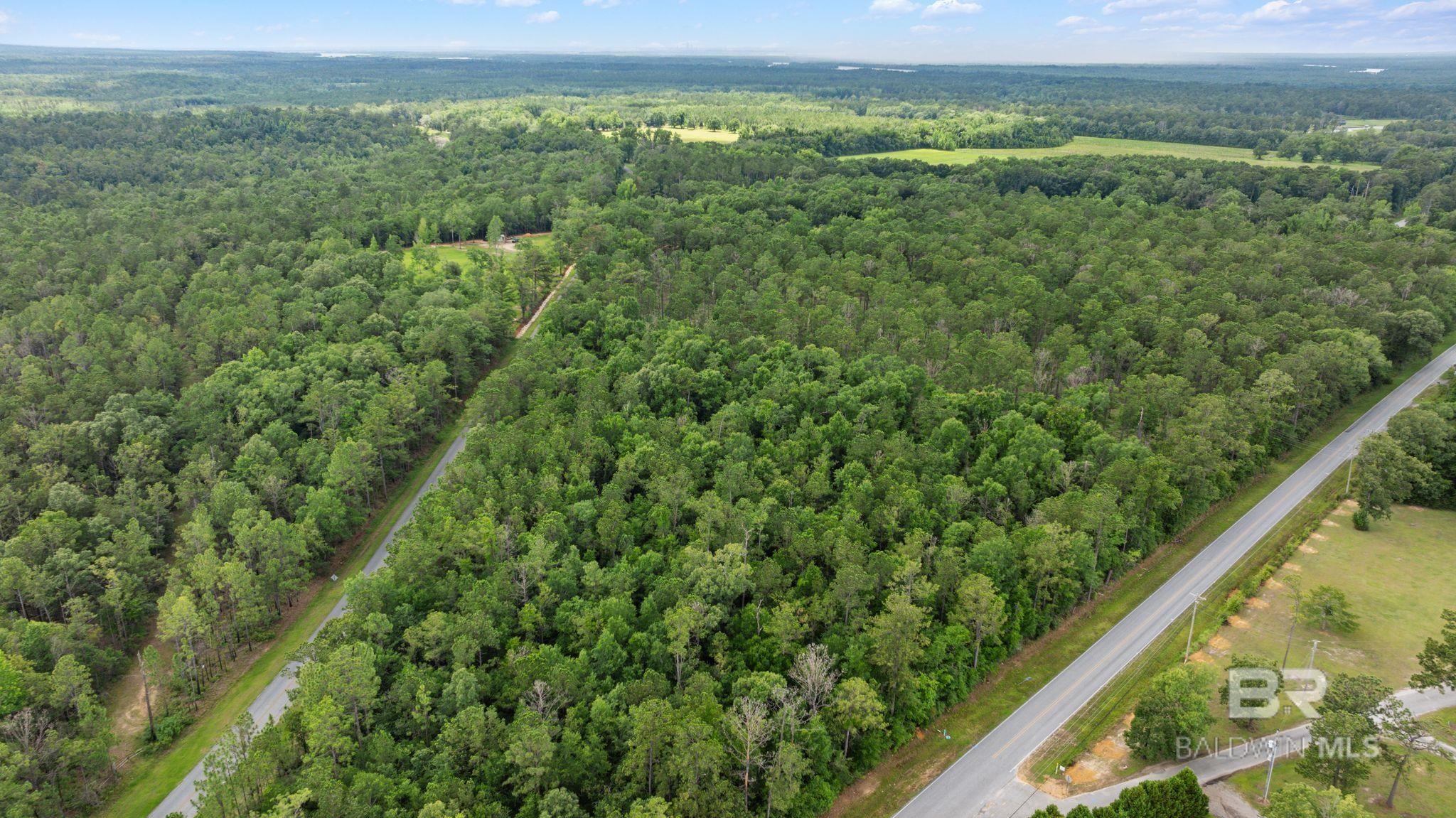 398806 | Photo 15