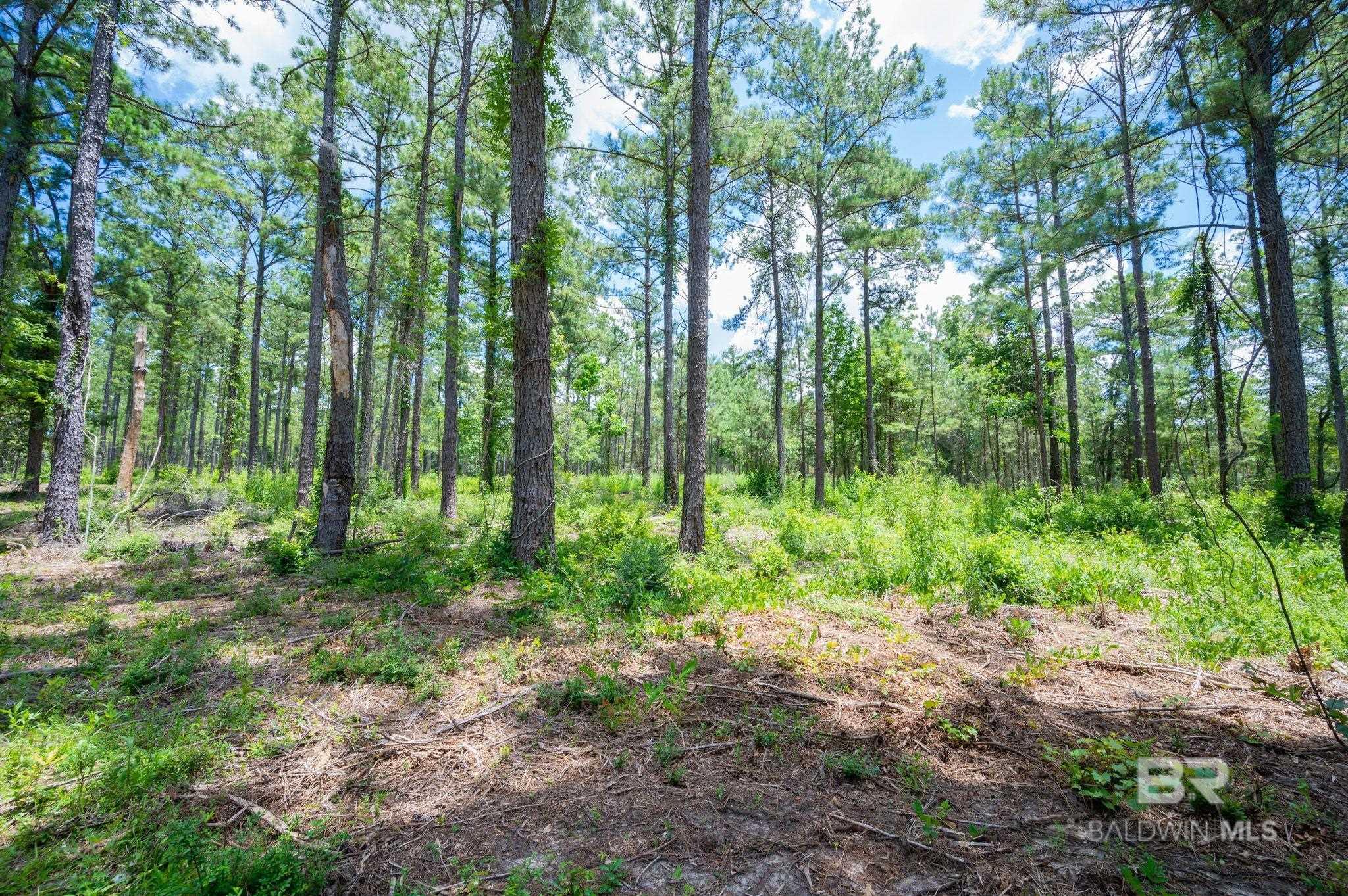 398807 | Photo 3