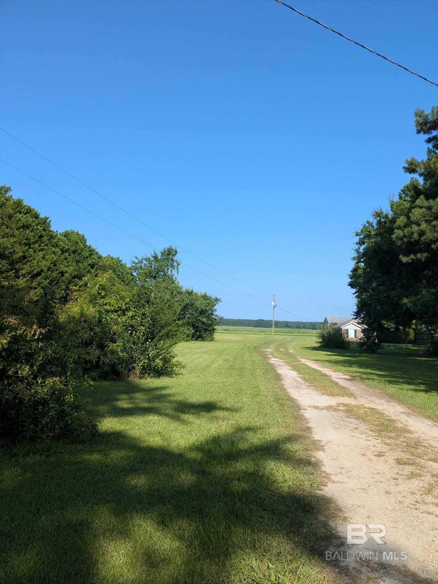 398846 | Photo 22