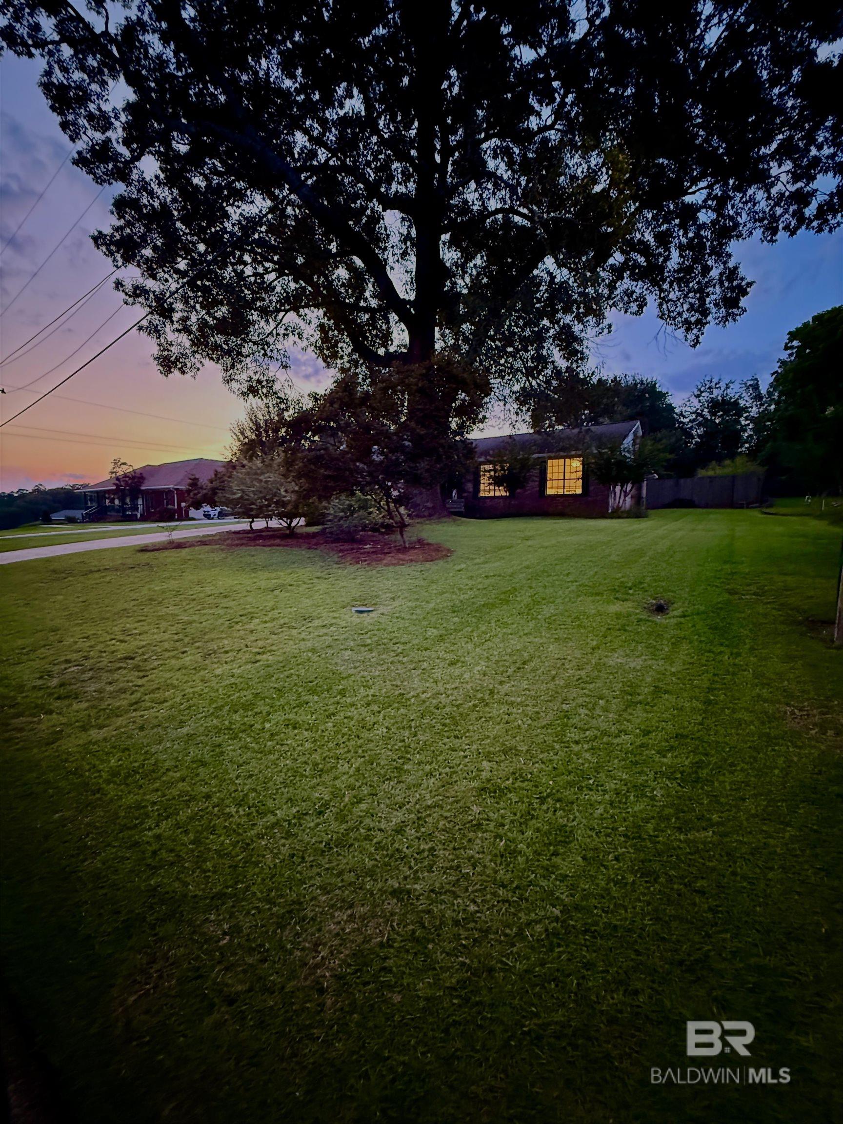 398911 | Photo 2