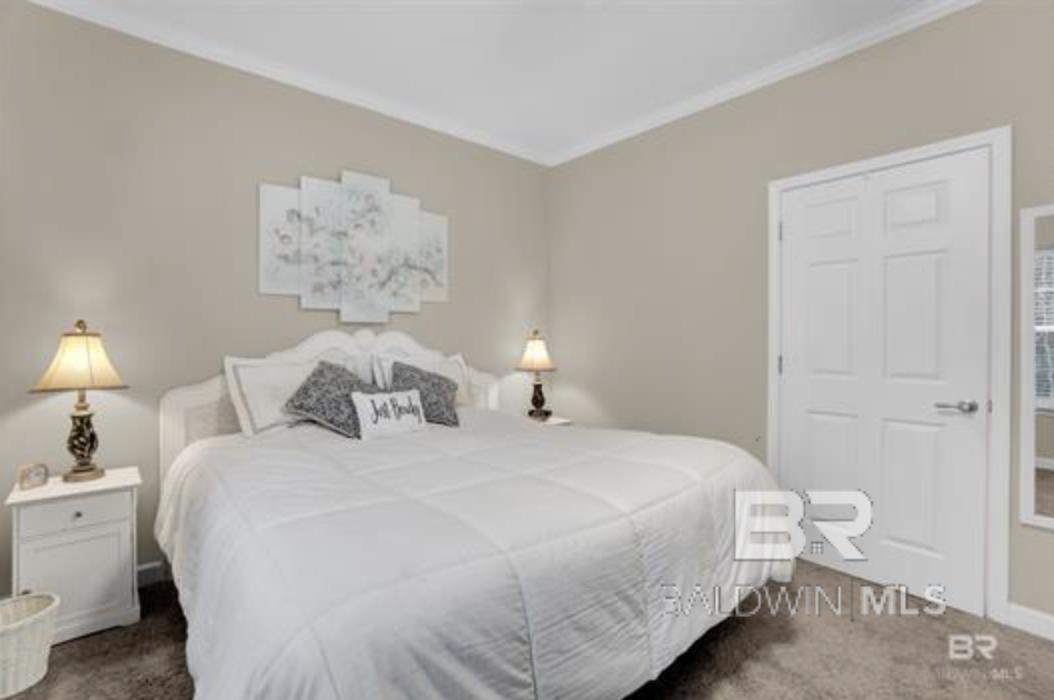 398946 | Photo 13