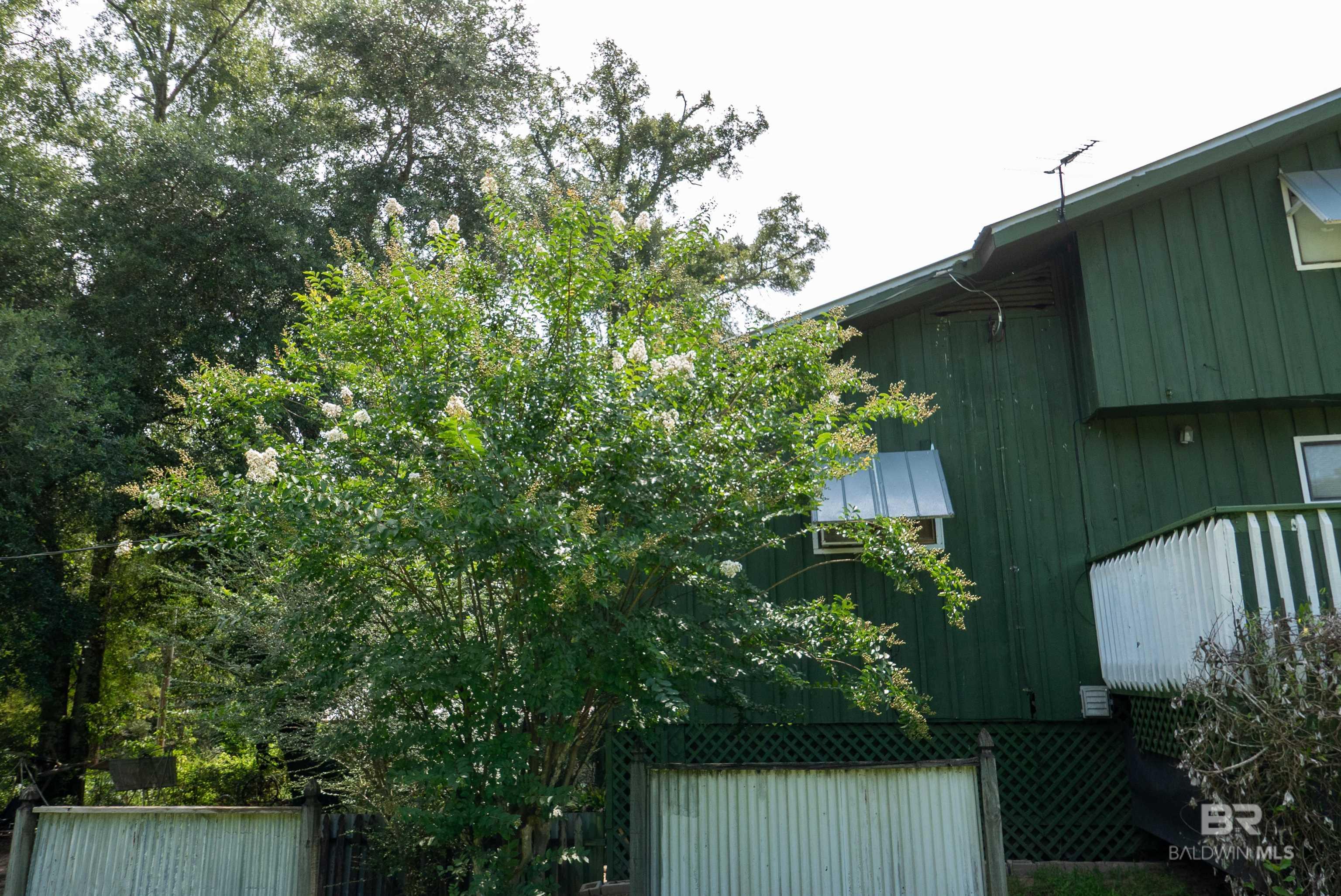 398947 | Photo 20