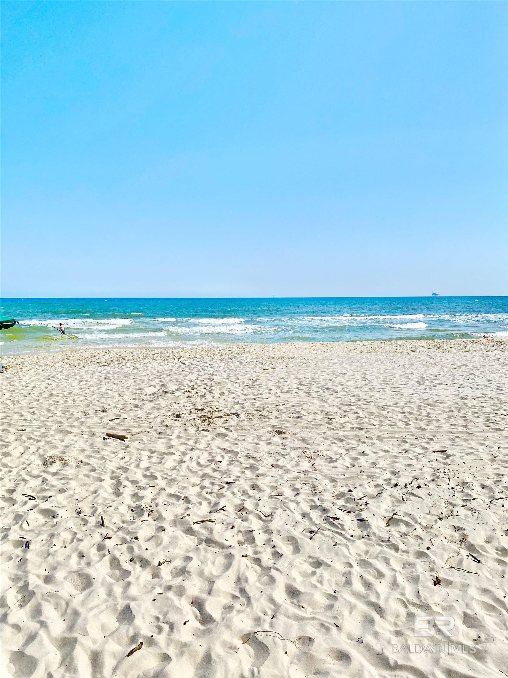 398991 | Photo 6