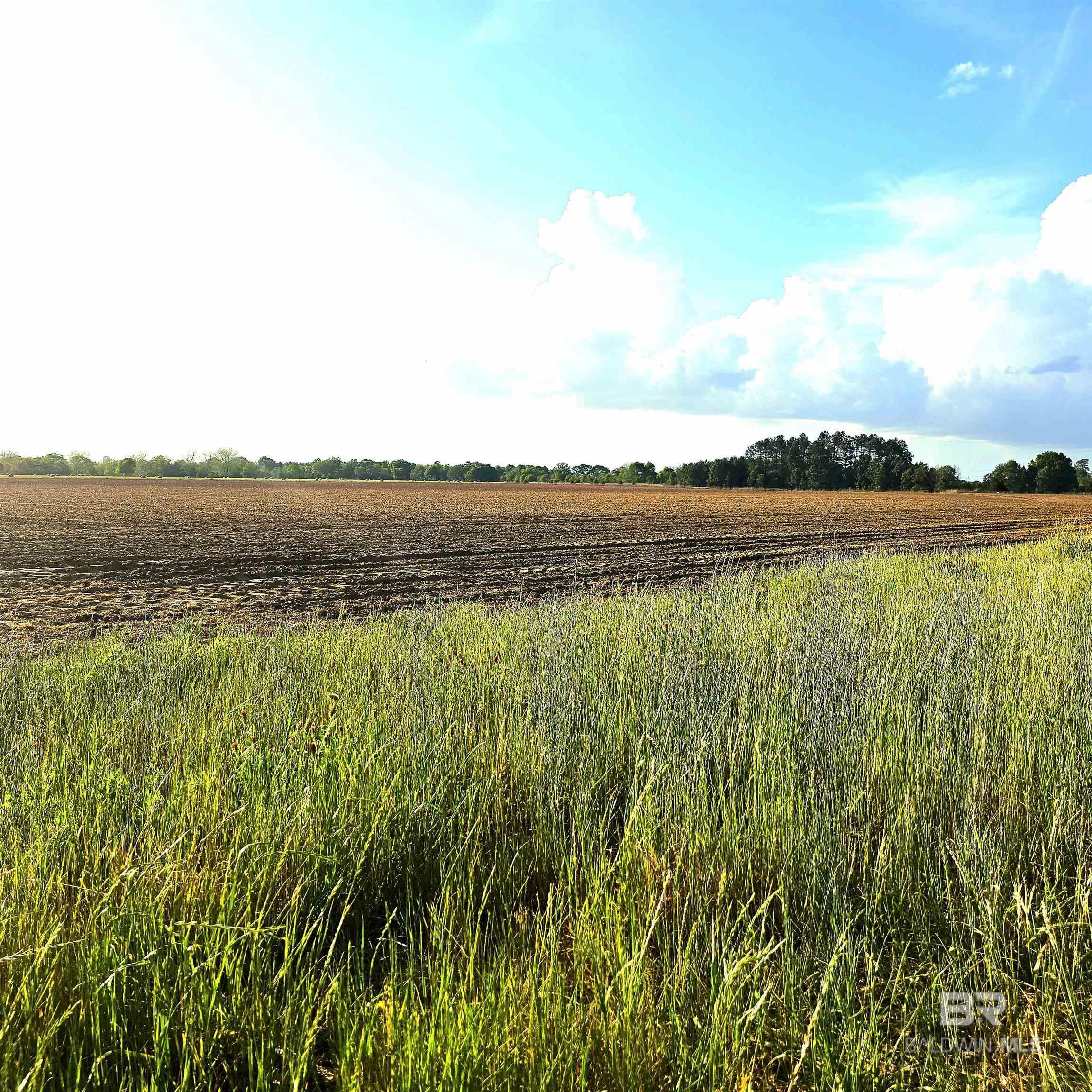 398993 | Photo 2