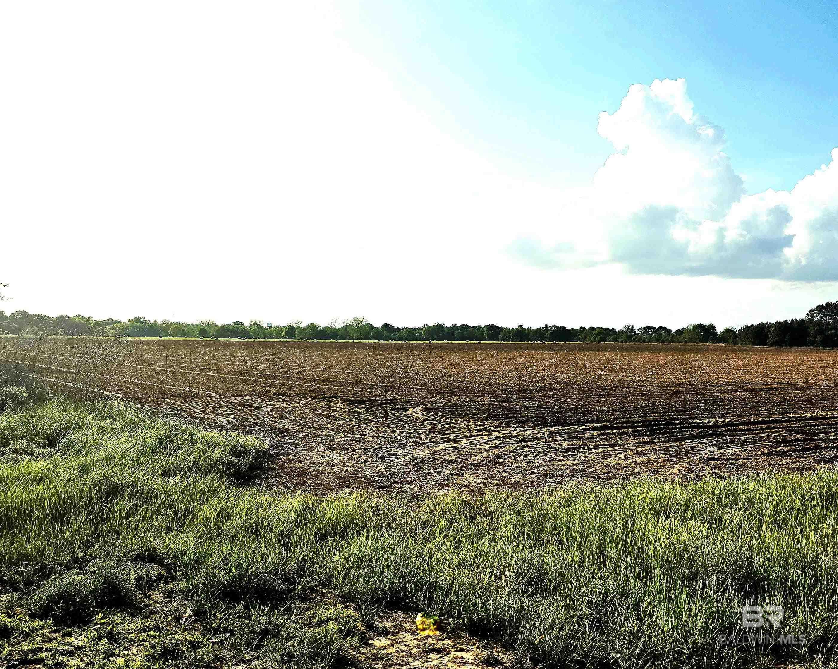 398993 | Photo 3
