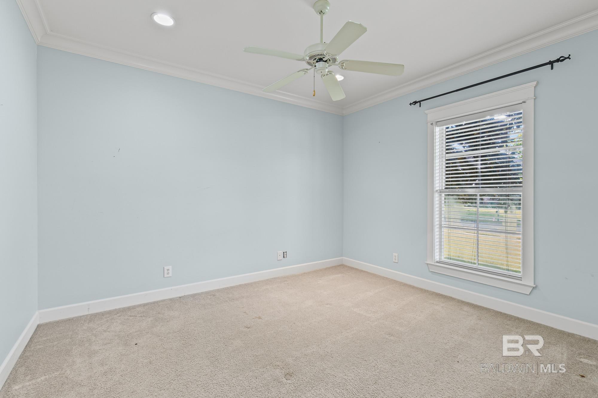 399009 | Photo 22